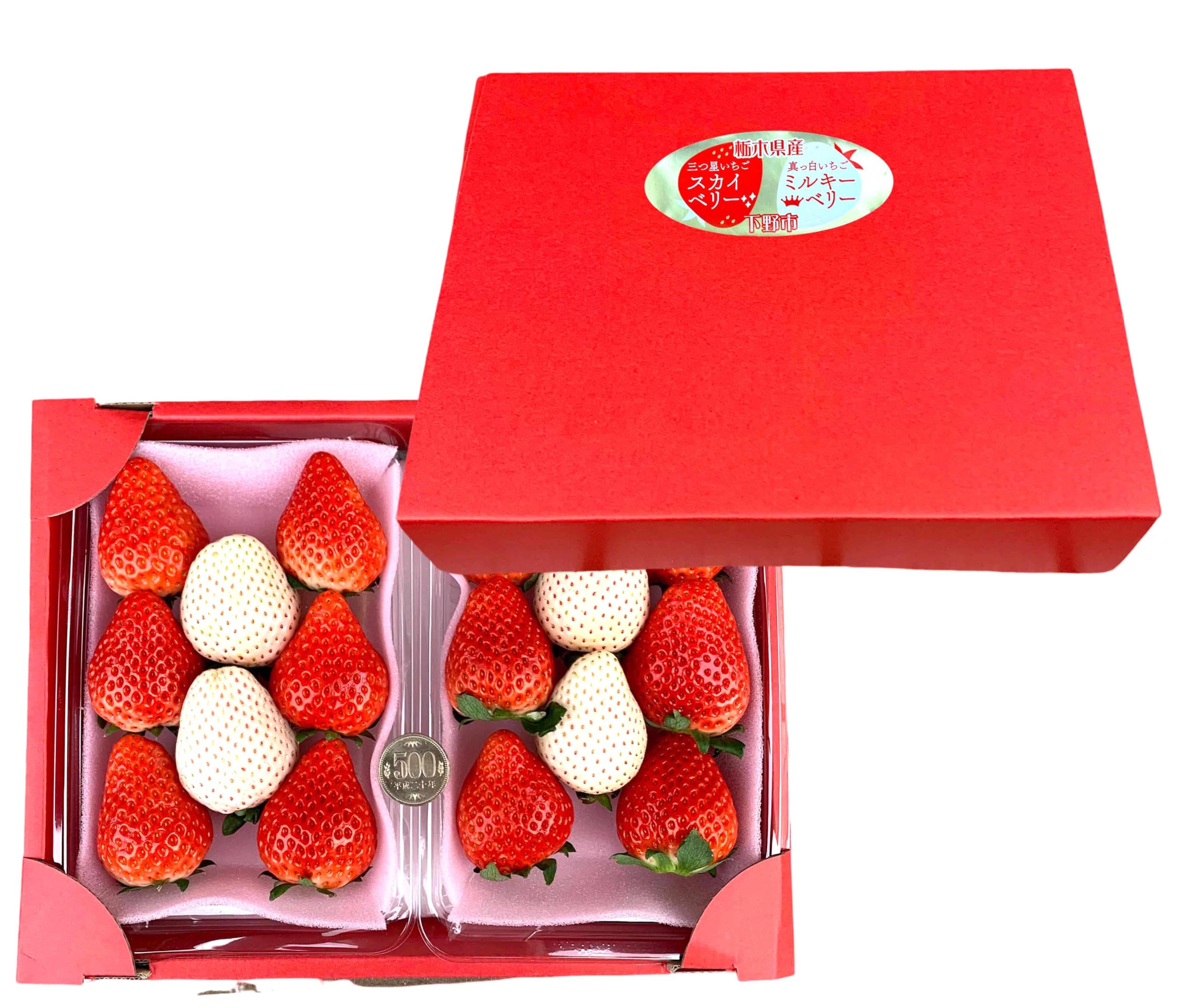 Amazon.co.jp: 【最高のギフト ～紅白いちご～】スカイベリー(赤