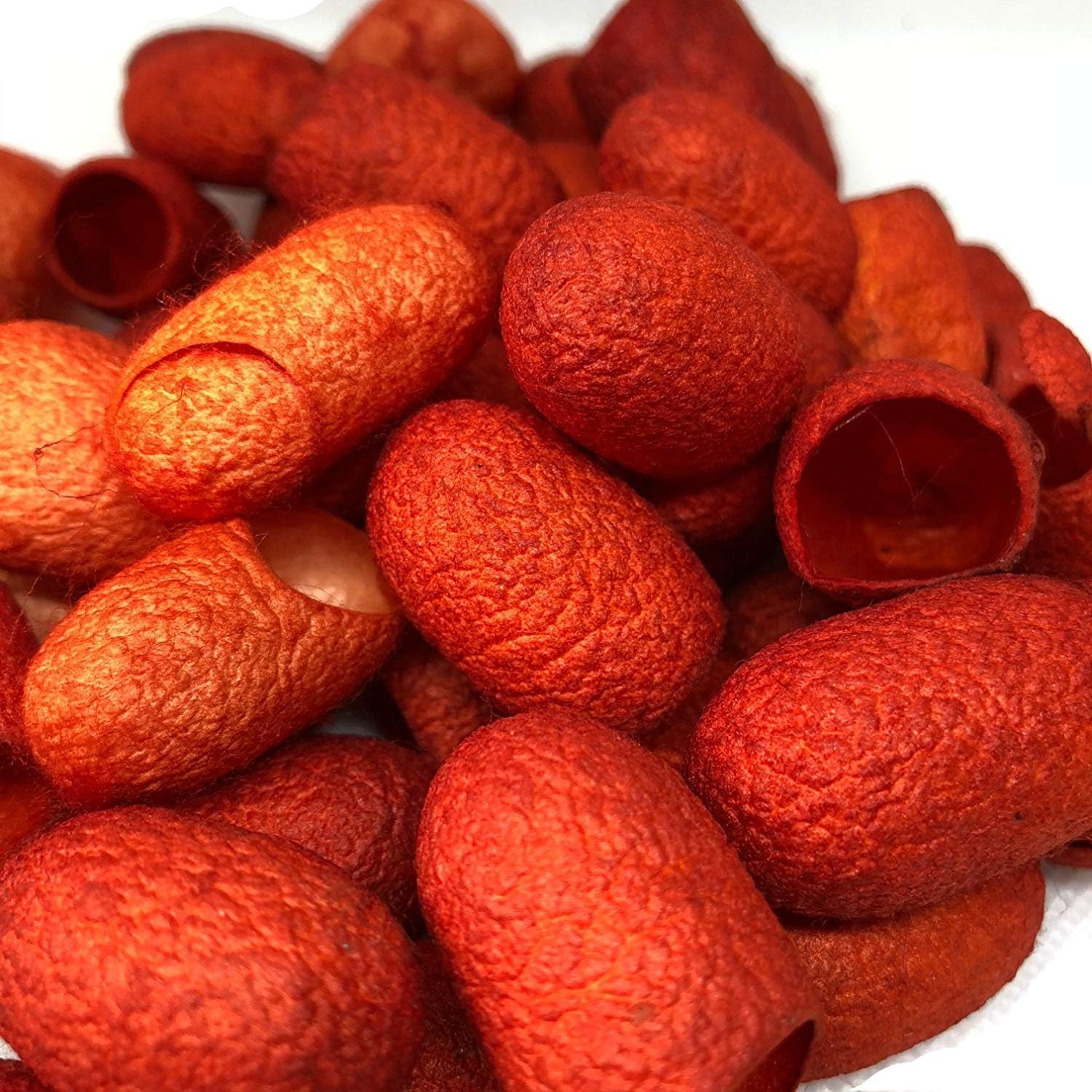Hand Dyed Silk Cocoons, Silk Cut Cocoons, Mulberry Silk Fibres, Selection Pack of 30 Cut Silk Cocoons (Couture Orange)