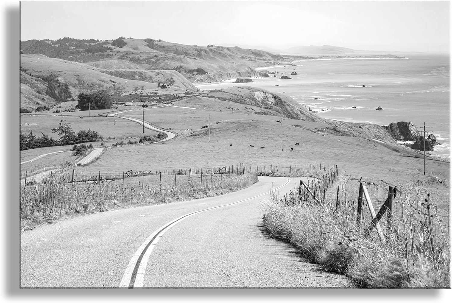 Black and White Mendocino Coast Sonoma Coast Bodega Bay Photograph