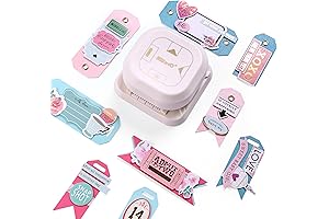 4 in 1 Tag Punch for Paper Crafts, Kaluofan 2024 New Gift...