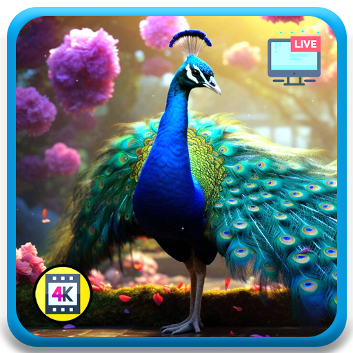 Alivio de pesadillas por TEPT y conexión a tierra contra la disociación | Pavo real tropical de colores vivos, plumaje exótico + audio relajante de selva tropical con temporizador de sueño