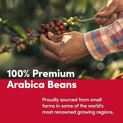 Tim Hortons Whole Bean Original, Medium Roast Coffee, Made with 100% Arabica Beans, 12 Ounce Bag(Medium Blend,12 Ounce (Pack of 1))