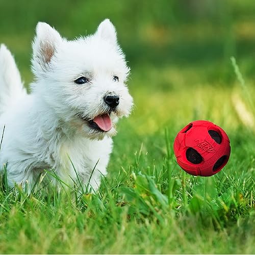 Miniatura 4 de Nerf Dog Bash - Pelota de tenis envuelta en goma, ligera, duradera y resistente al agua, 2 pulgadas, para razas pequeñas/medianas, una unidad, color