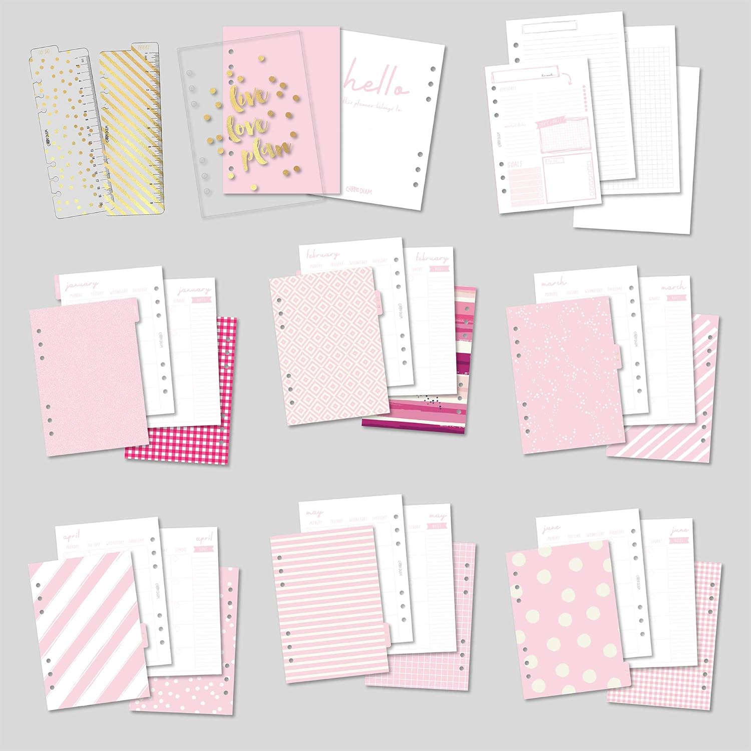 Pukka Pad, Carpe Diem A5 Planner with Weekly, Monthly Undated Inserts, 10 X 9.5 X 2 Inches, Ballerina Pink