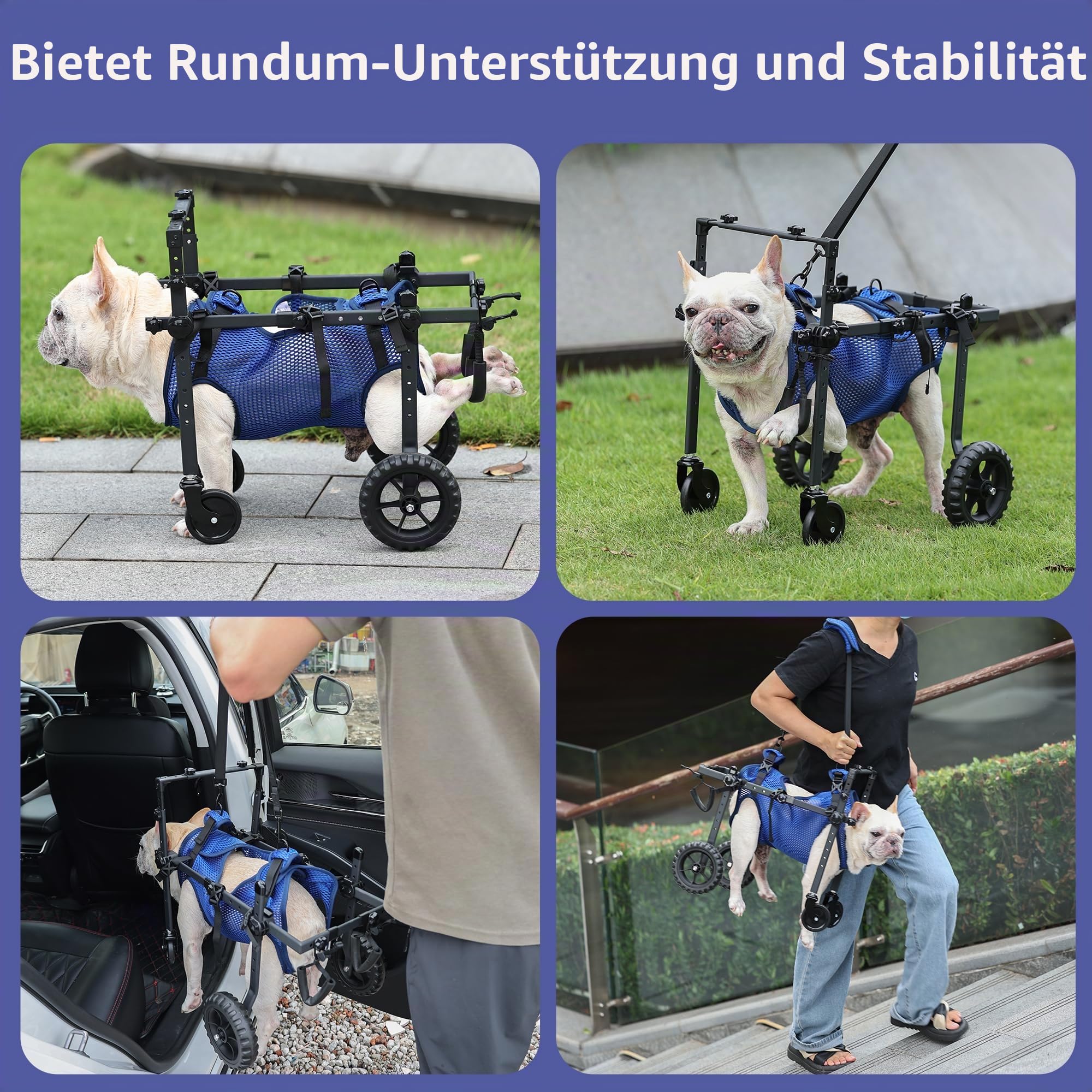 Hunderollstuhl mit 4 Rädern für behinderte und ältere Hunde, verstellbare Mobilitätshilfe für Haustiere mit Griff, Rollstuhlwagen für Rücken-/Vorderbeine, Rehabilitation