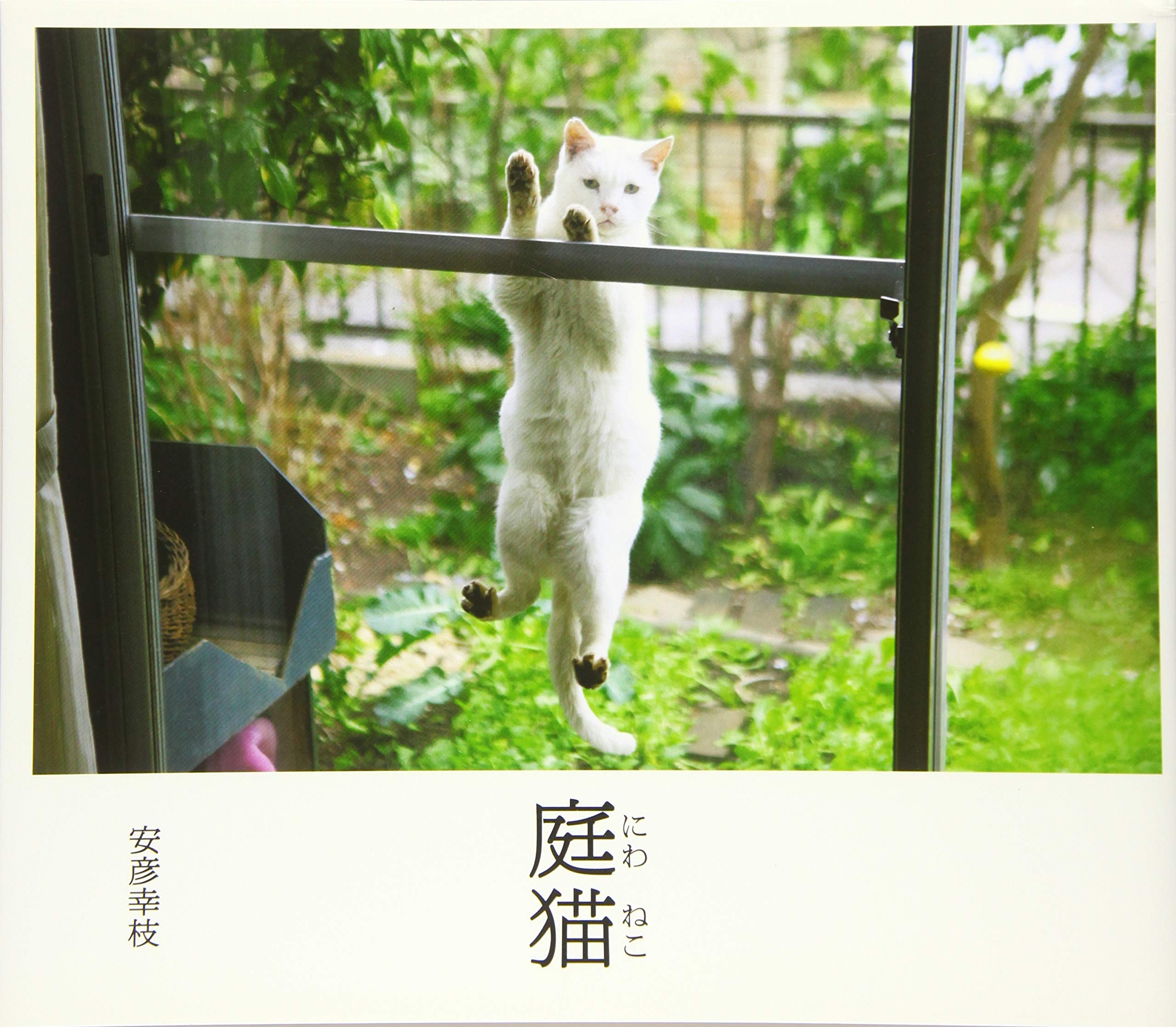 庭猫 | 安彦 幸枝 |本 | 通販 | Amazon