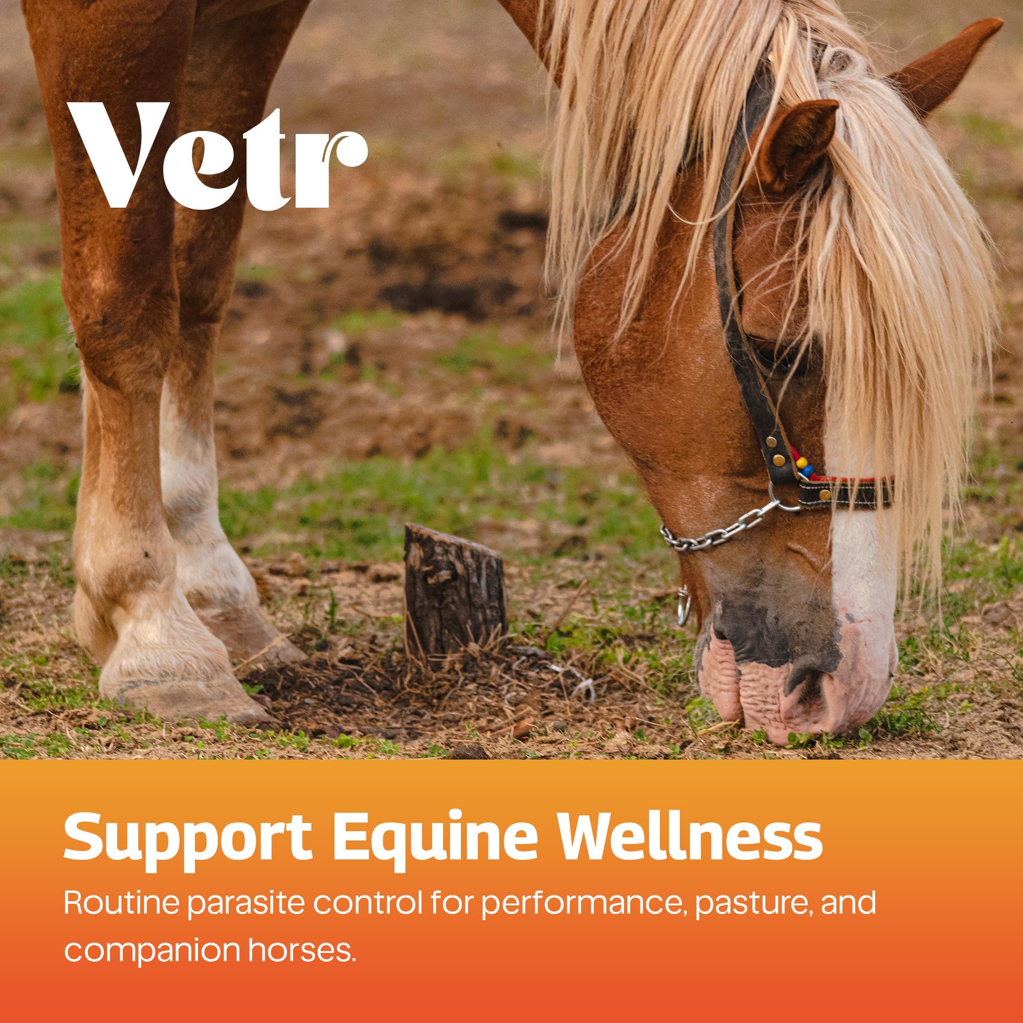 vetr Horse Intestinal Support Paste PraziMectin - Apple Flavor - 0.225 oz Syringe - for Horses up to 1320 lbs — view 3