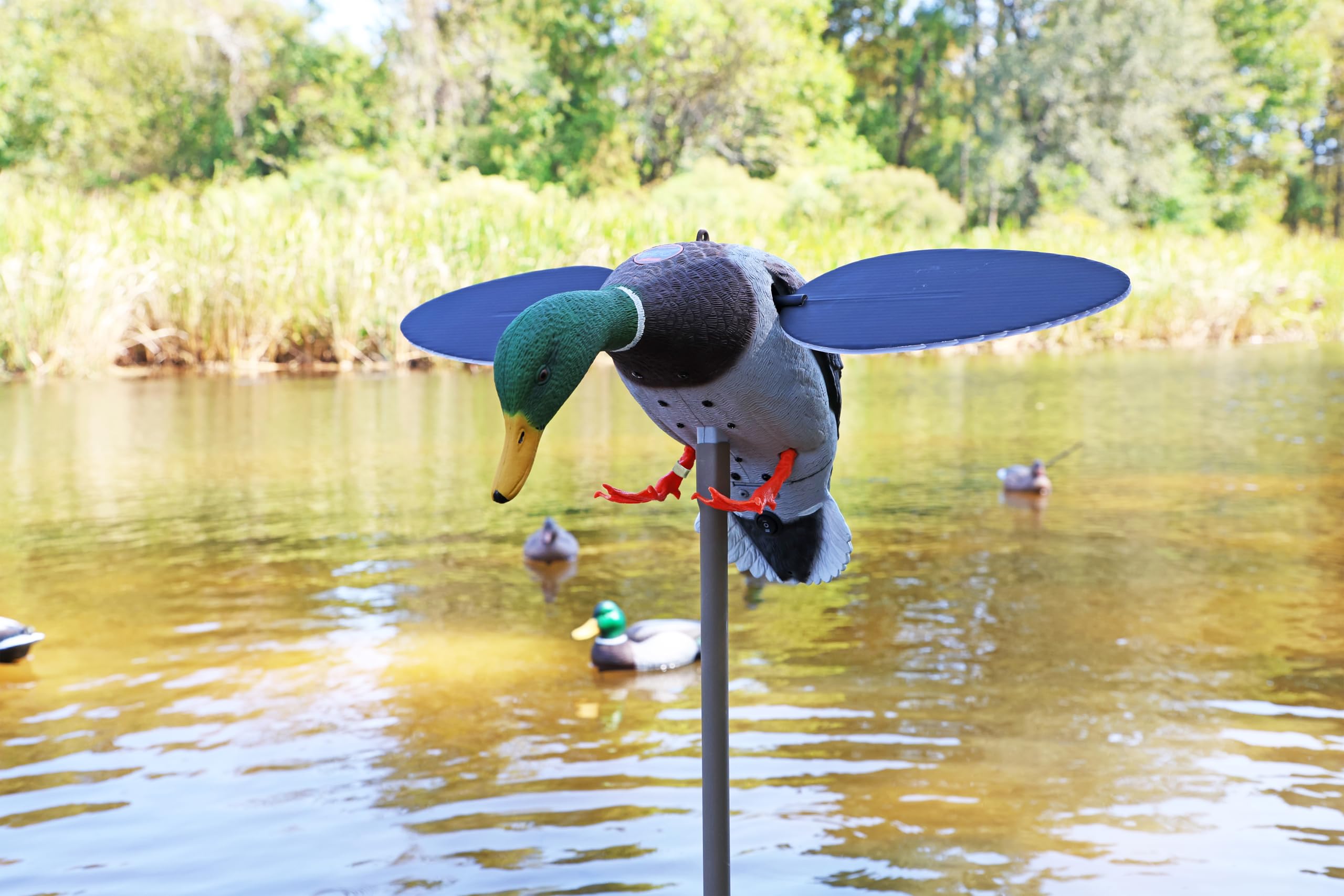 MOJO Outdoors Hw2025 Señuelo Plateado de Mallard, Unisex, Plata