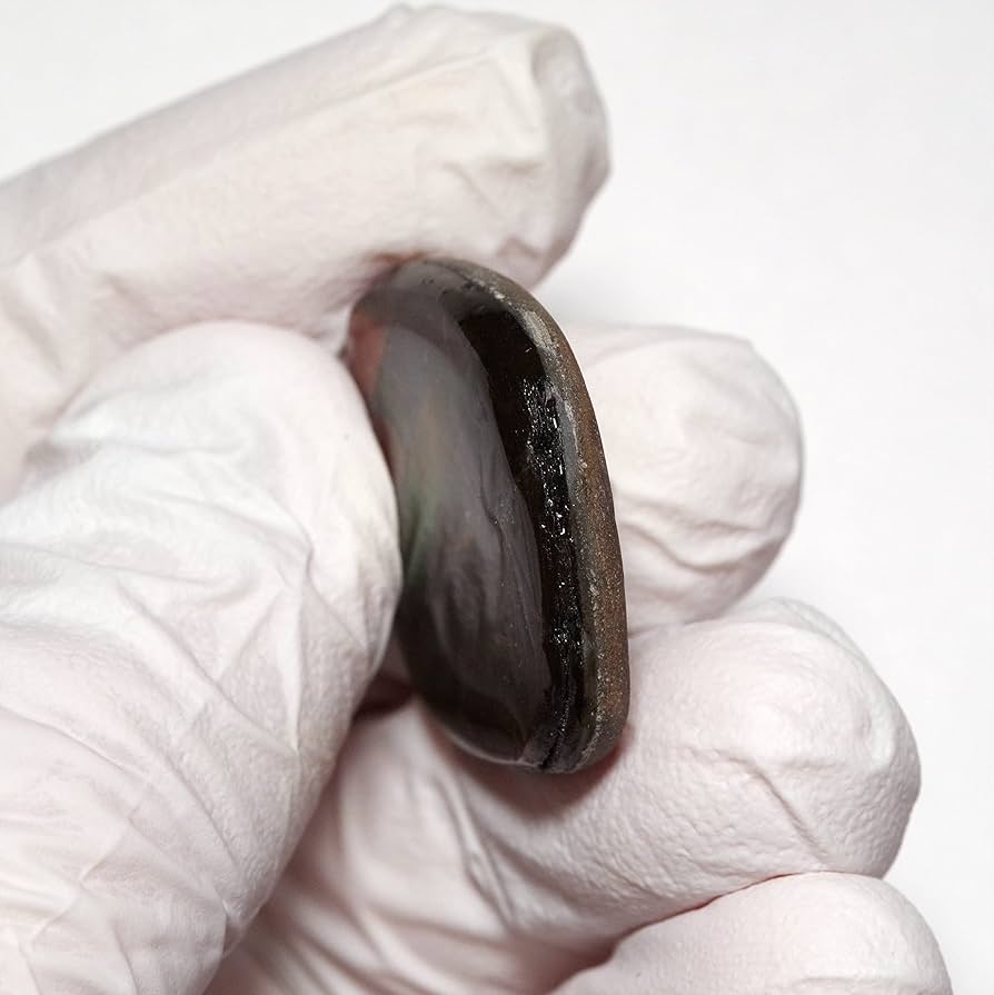 Amazon | [N2 stone Natural] 天然化石 アンモライト (Ammolite