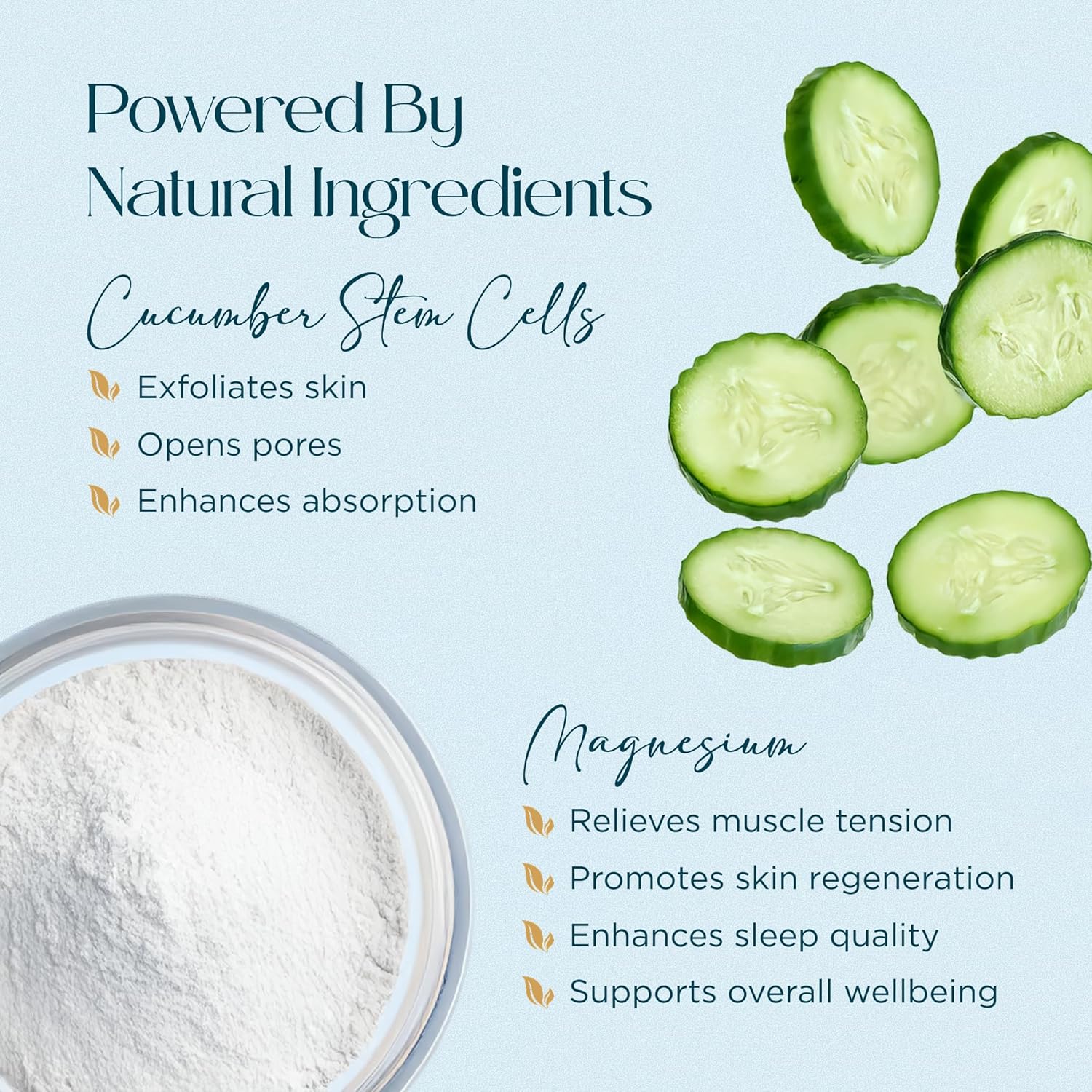Abundant Natural Health Ocean Magnesium Gel Enriched with Cucumber Stem Cells for Muscle Relief and Relaxation, Topical Use, Effective and Quick Absorption, Fragrance-Free, 100mL