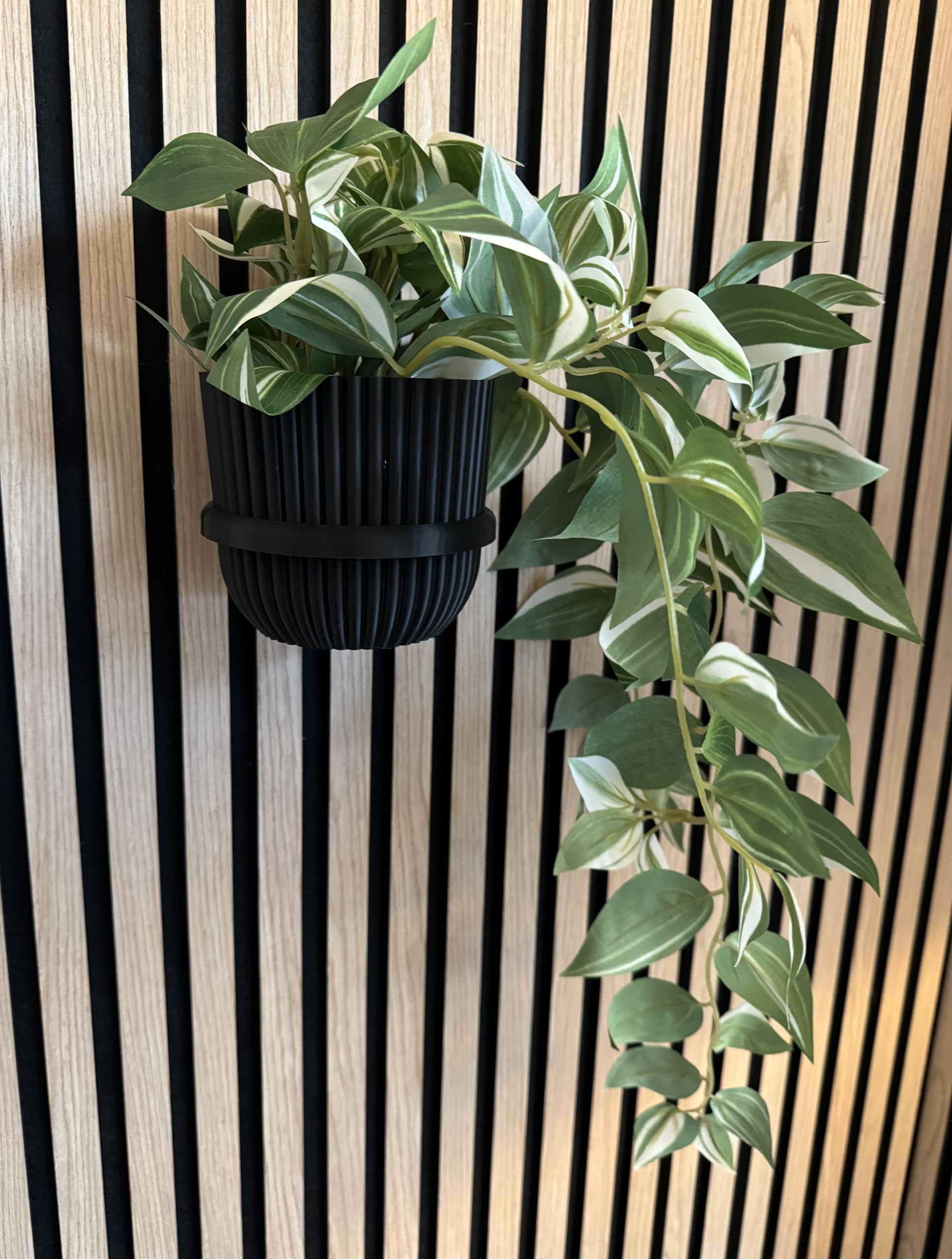 Vleugel Black Acoustic Panel Plant Ring V2 Large Drill Free Mounting Pack Of 2 5"