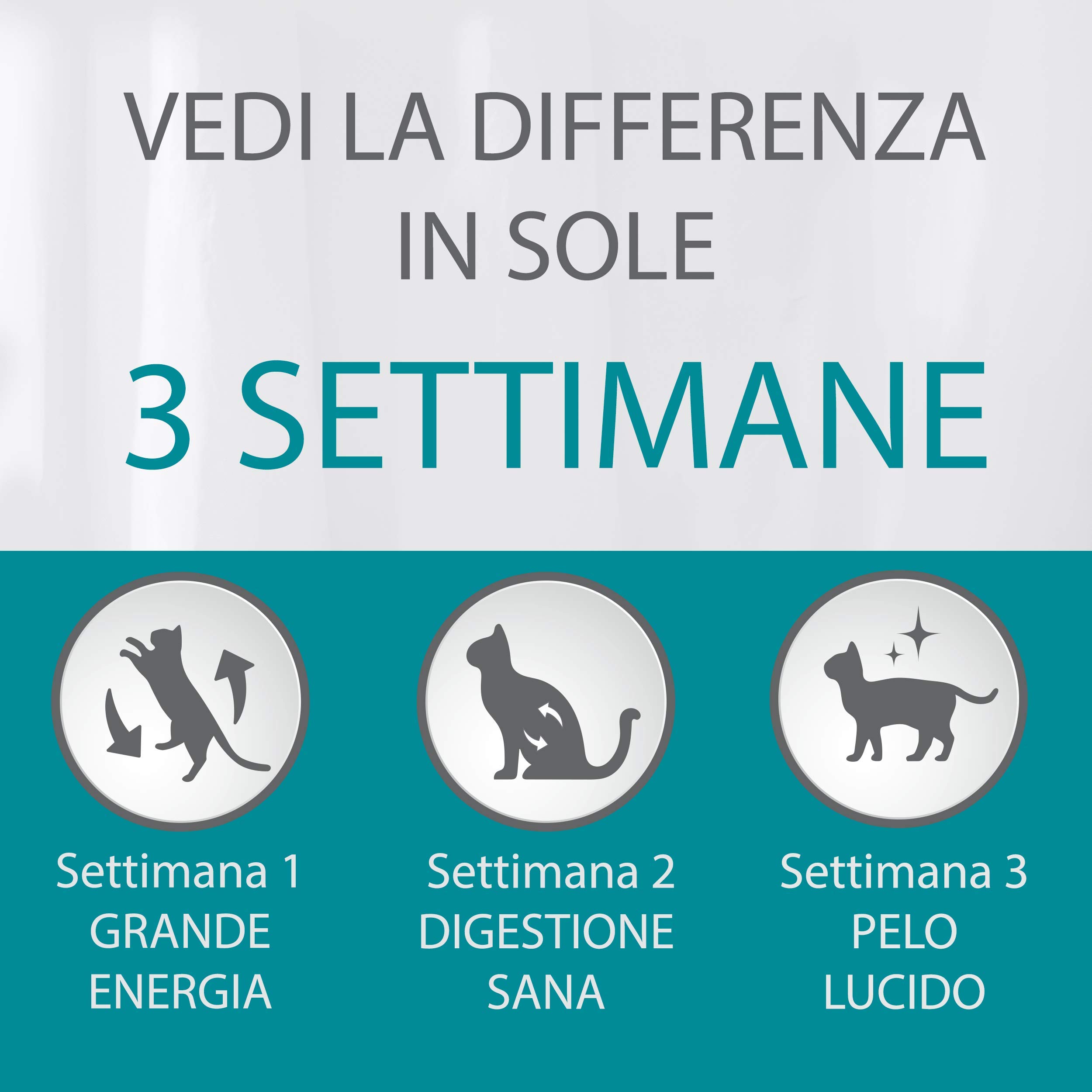 Purina One Bifensis Crocchette Gatto Speciale Pelle e Pelo Ricco in Pollo e Cereali integrali - 8 Sacchi da 800 g Ciascuno