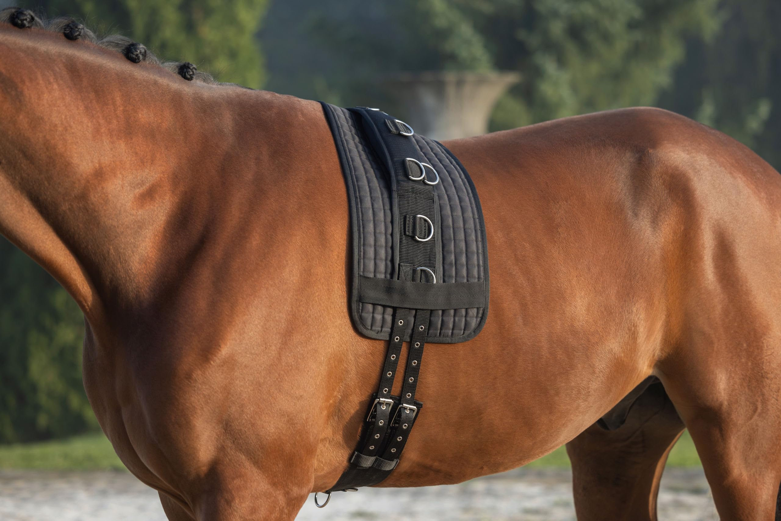 KERBL Cinchuelo para Dar Cuerda de Nailon, 9 Anillos Poni, cincha Regulable