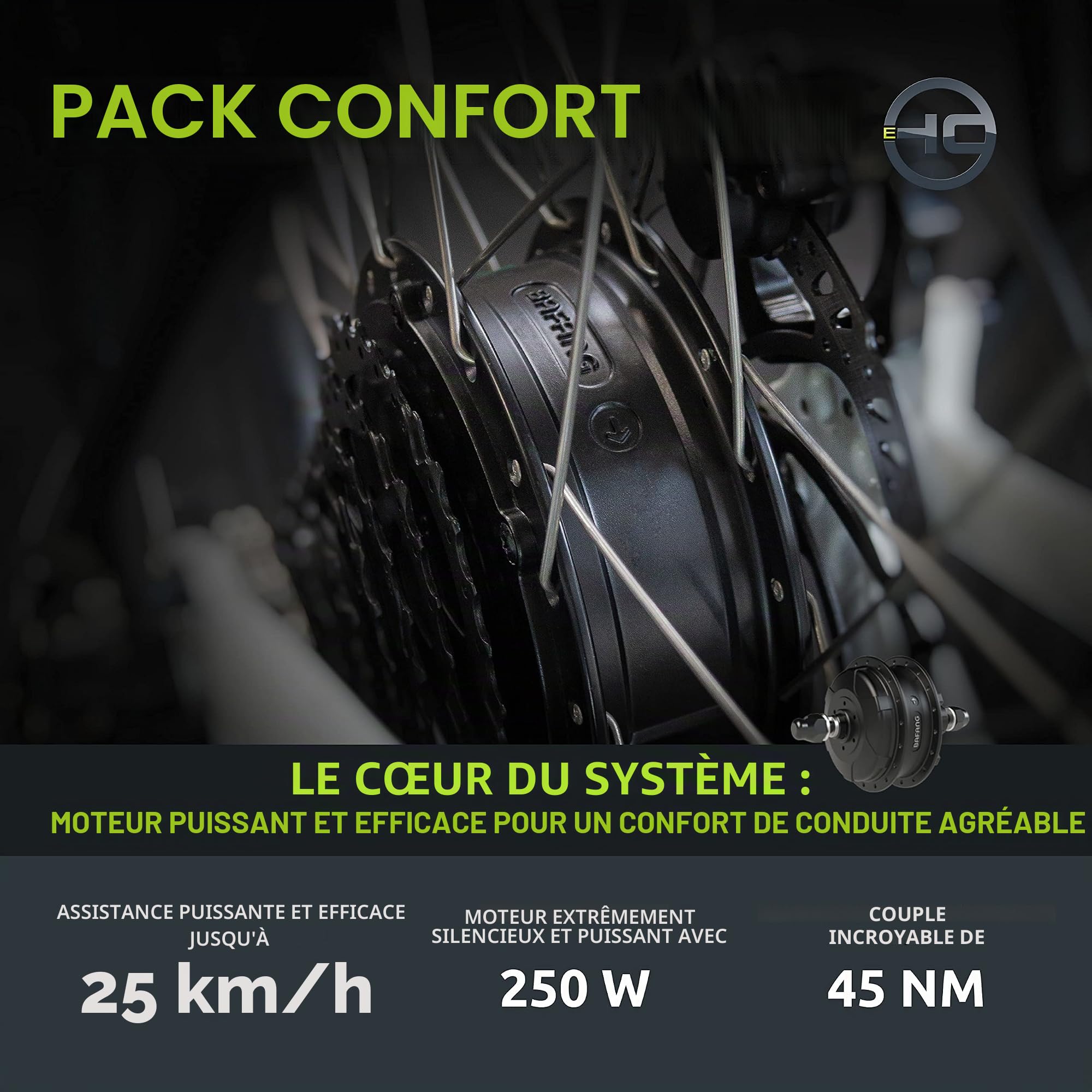 Vélo Electrique Femme 26 Pouces, Electric Bike 8 Vitesses, Moteur Puissant 48V 250W 45Nm, Fourche à Suspension Hydraulique, Autonomie 100 km 25 km/h