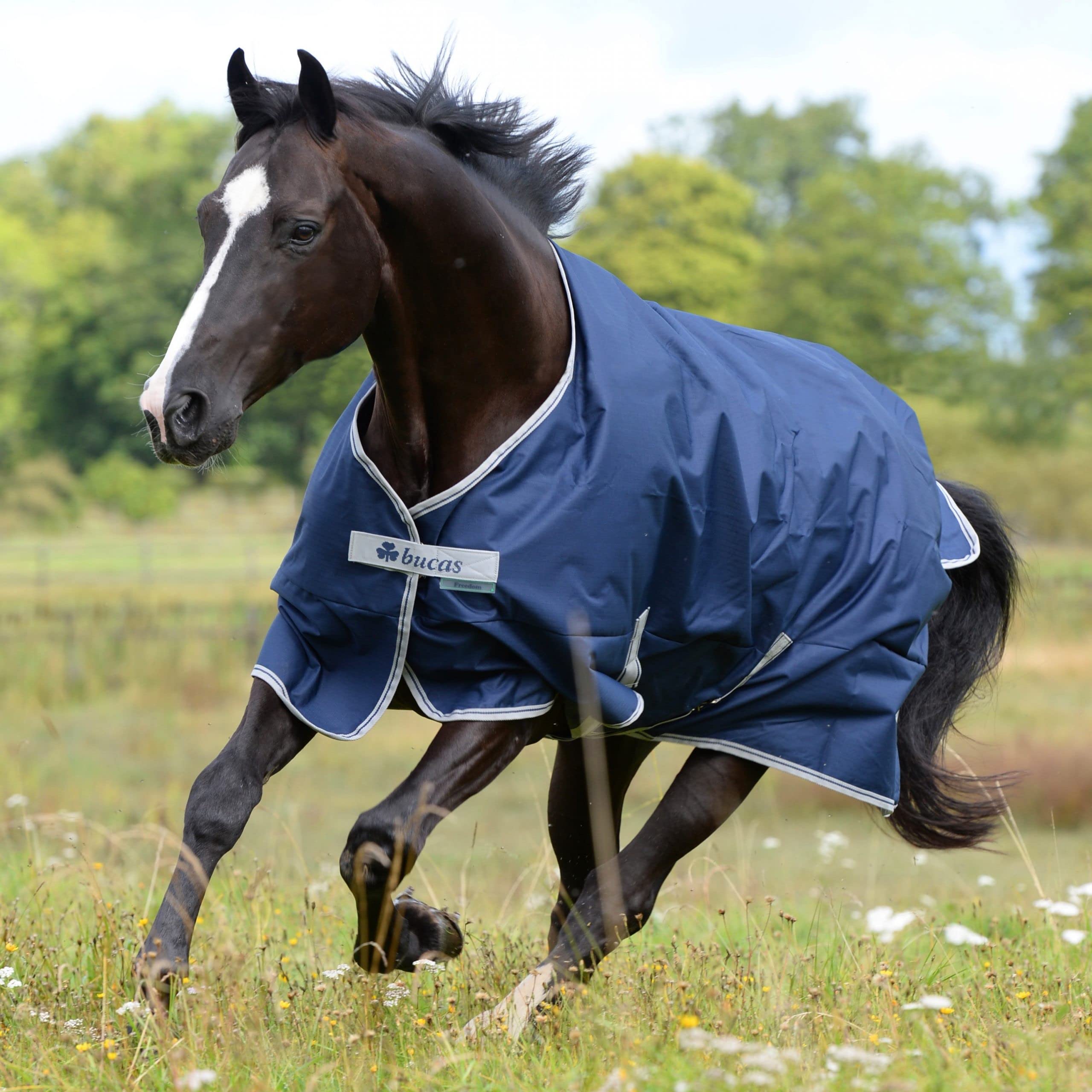 Couverture D'hiver Bucas Freedom Turnout 150g Marine - Imperméable - Pour Cheval