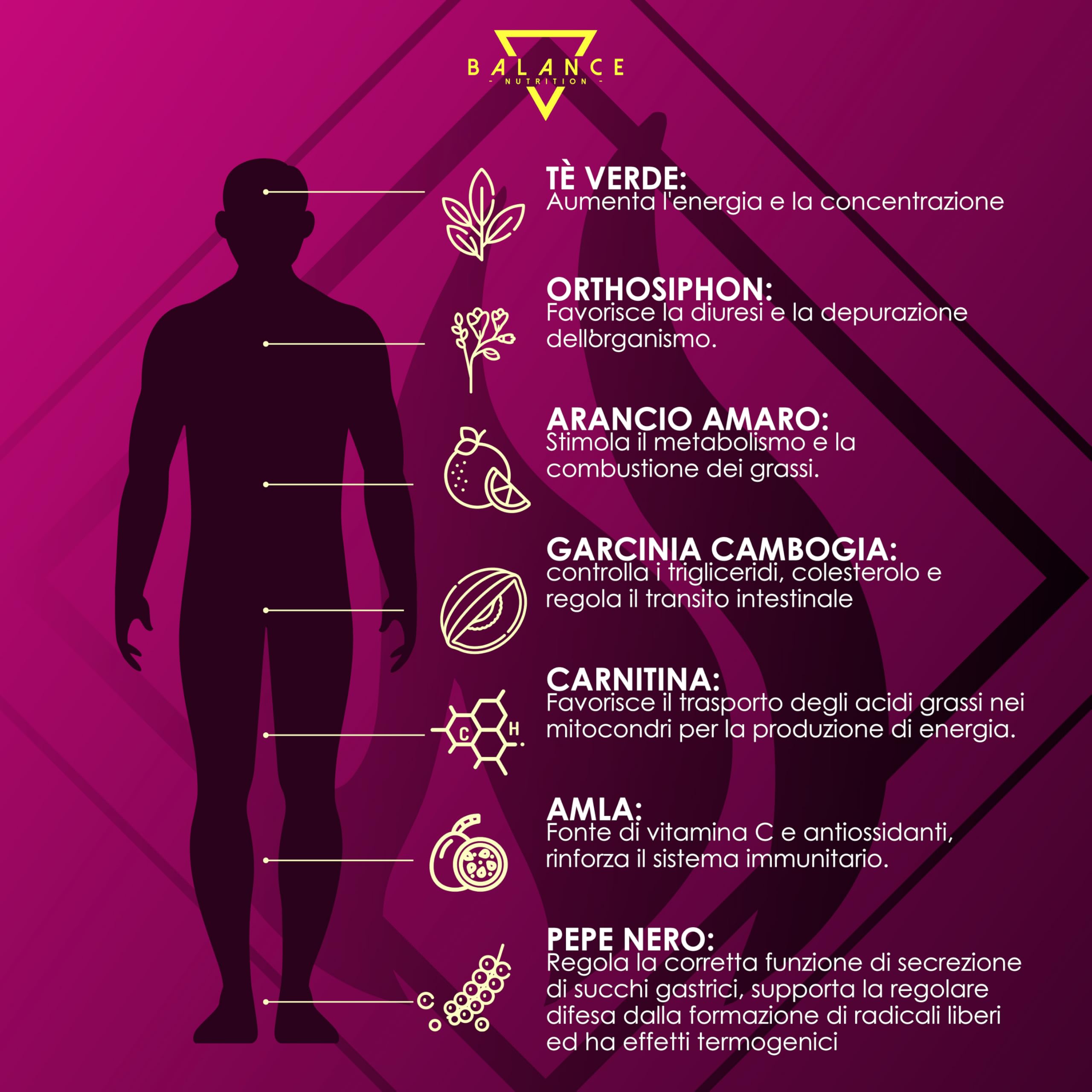 Ketosan® (PROGRAMMA ALIMENTARE INCLUSO) – Integratore Alimentare Multicomponente | 120 Compresse a Base di Estratti Vegetali | Tè Verde, Orthosiphon, Garcinia Cambogia, Piperina | 100% Vegan