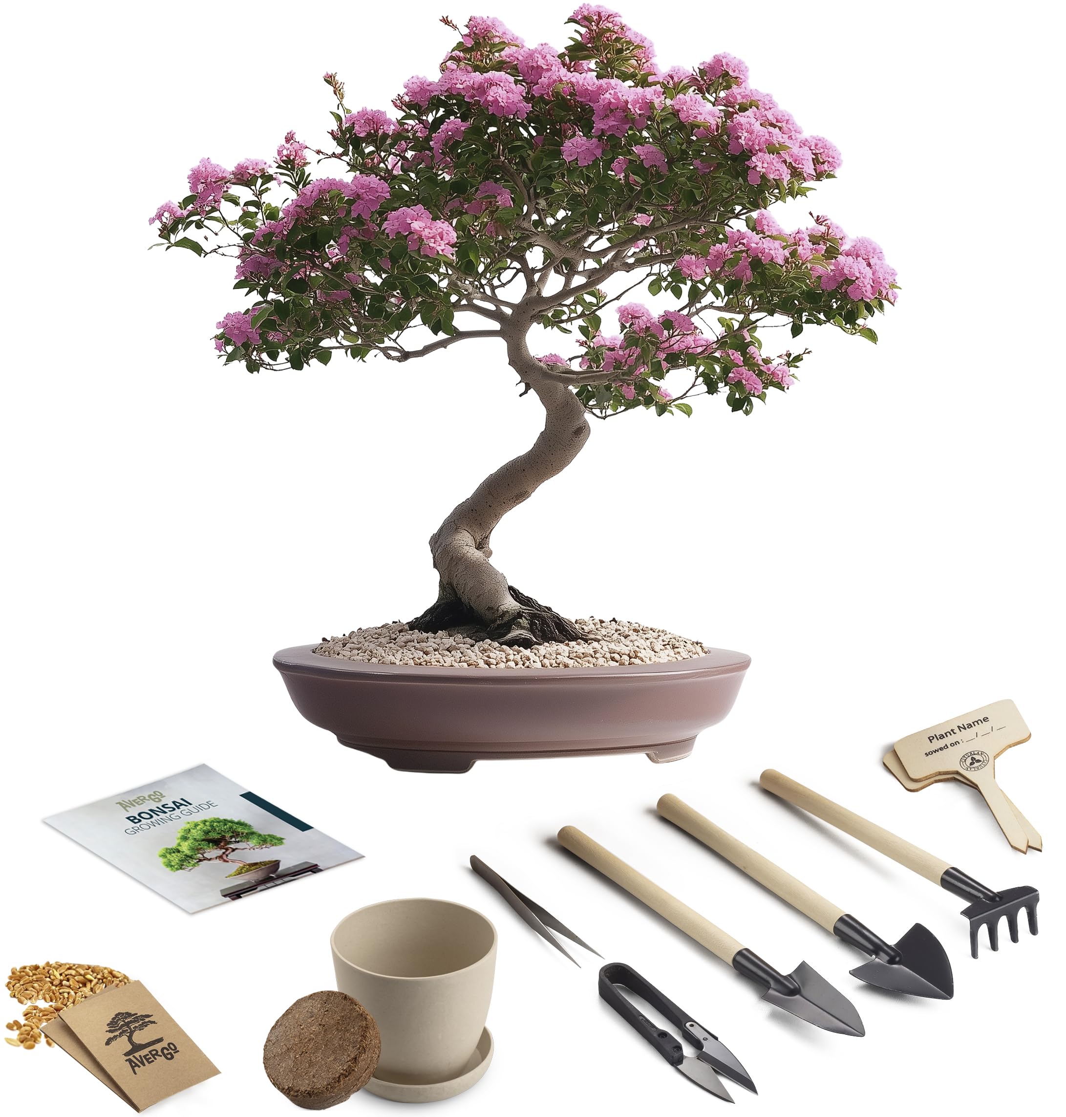 Bonsai Tree Kit – 5X Unique Japanese Bonzai Trees | Complete Indoor Starter Kit for Growing Bonsai Plants with Tools & Planters – Gardening Gifts for Women & Men