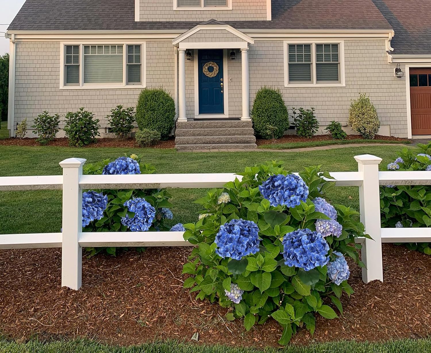 4PCS Real Touch Blue Hydrangea Artificial Flowers 21'' Large Latex Fake Hydrangea Flowers Faux Hydrangea with Stem for Wedding Home Table Centerpieces Indoor Baby Shower Decorations (Royal Blue)