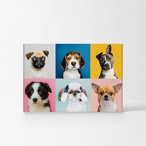 Vista 80 de Smile Art Design Border Collie Bulldog Rottweiler Cachorro Persa Gatito Animal Lienzo Impresión Arte de Pared Pet Cat Dog Lover Sala Dormitorio