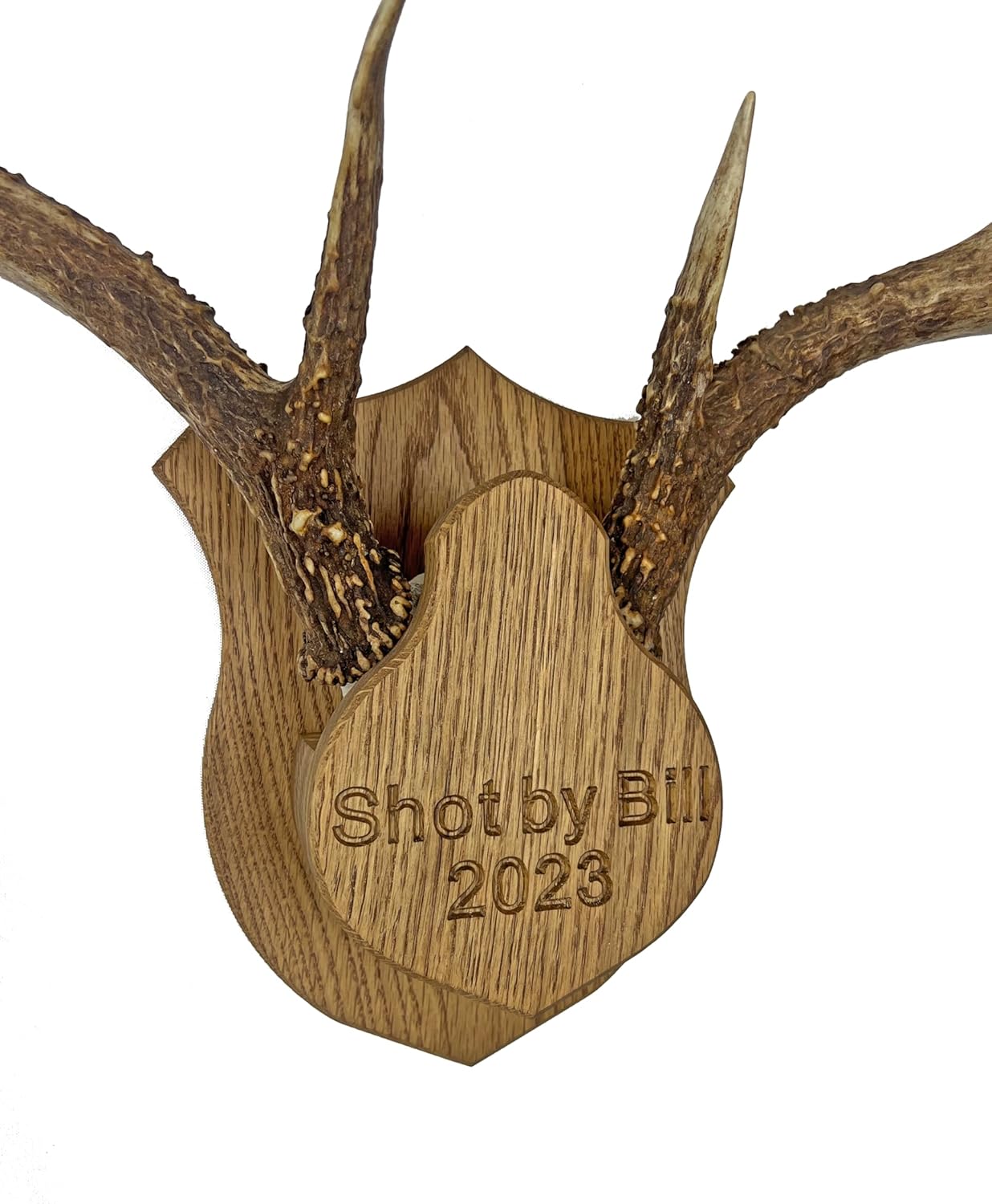 Barnwood Deer Antler / Horn Mounting Kit - Custom & Personalized Plaque / Mount - Includes Everything You Need!