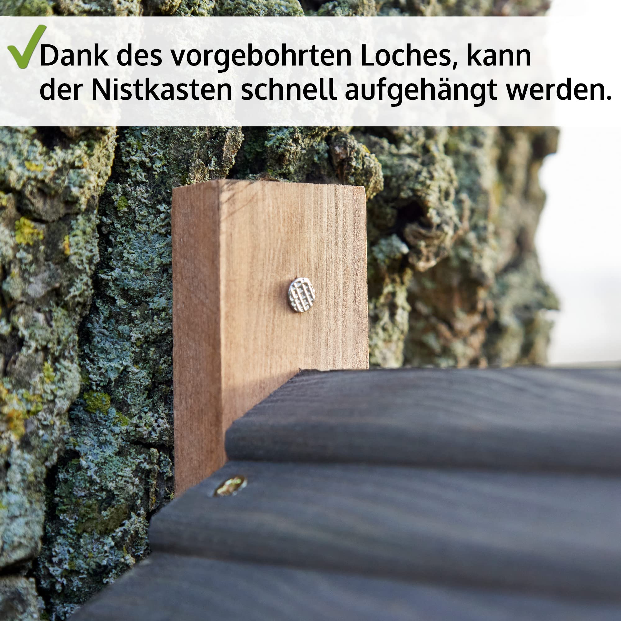 zooprinz Stabiler Nistkasten für Wildvögel/Gartenvögel - mit sicherem Schutz gegen Nesträuber – witterungsbeständig und langlebig für draußen – Nistkasten