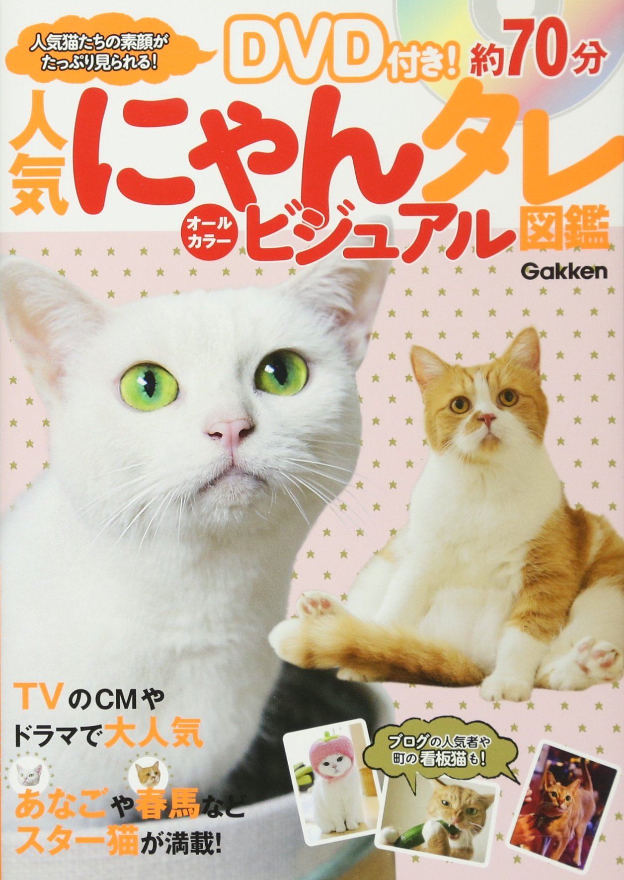 人気にゃんタレ ビジュアル図鑑 学研プラス 本 通販 Amazon