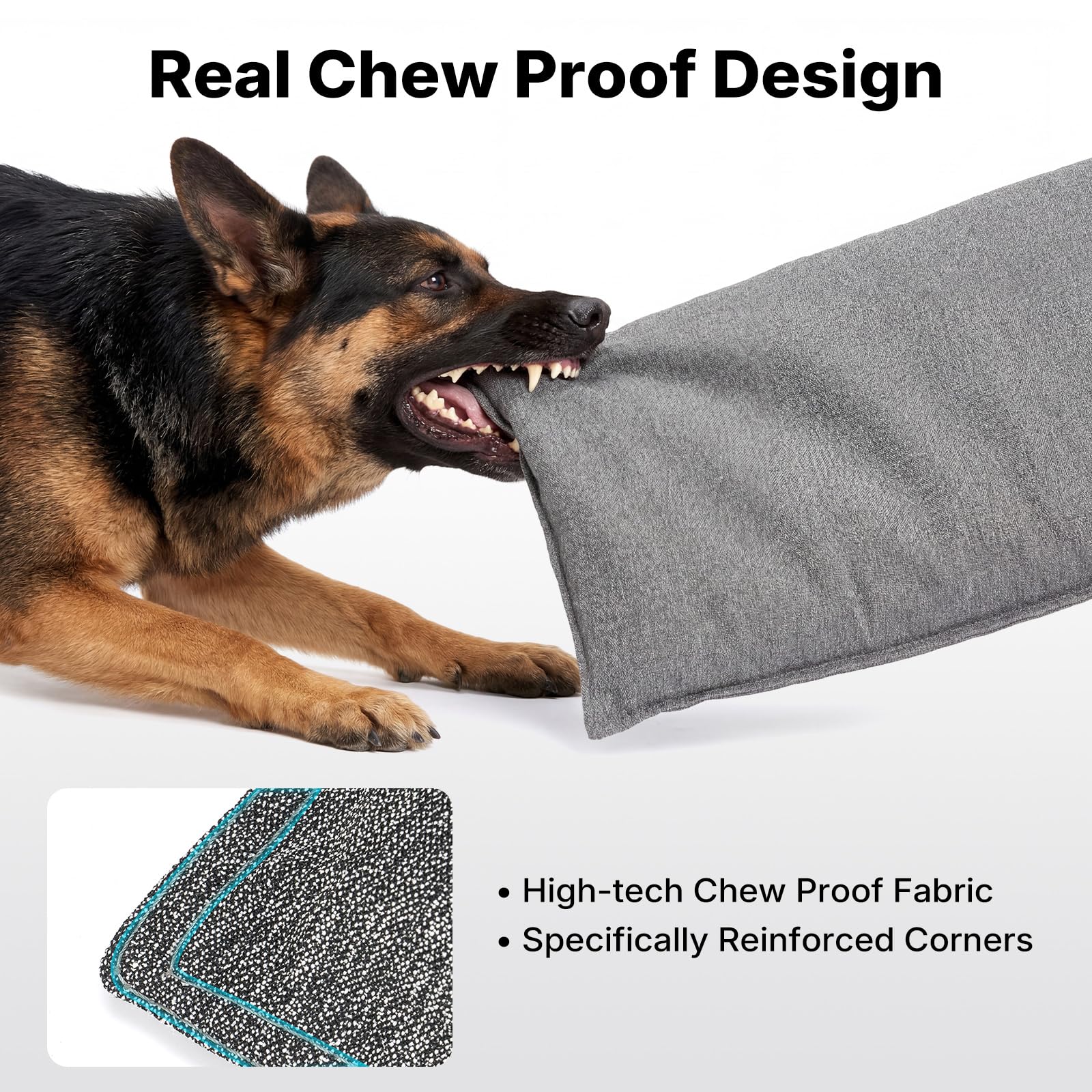 View 2