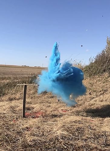 Miniatura 5 de Objetivos de revelación de género de BlastCloud