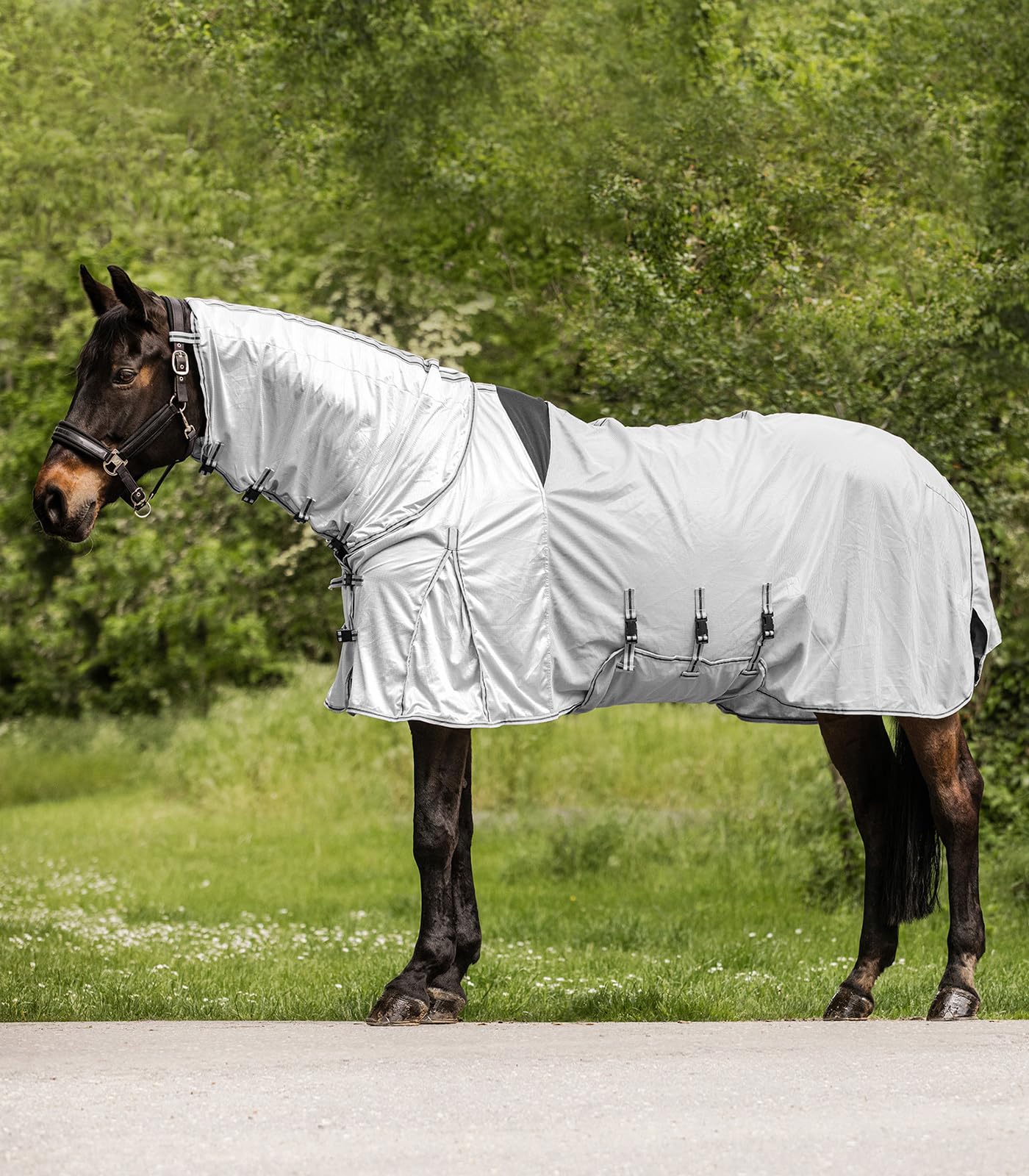 Waldhausen Protect Couverture anti-mouches pour eczéma, gris argenté/gris, 145 cm
