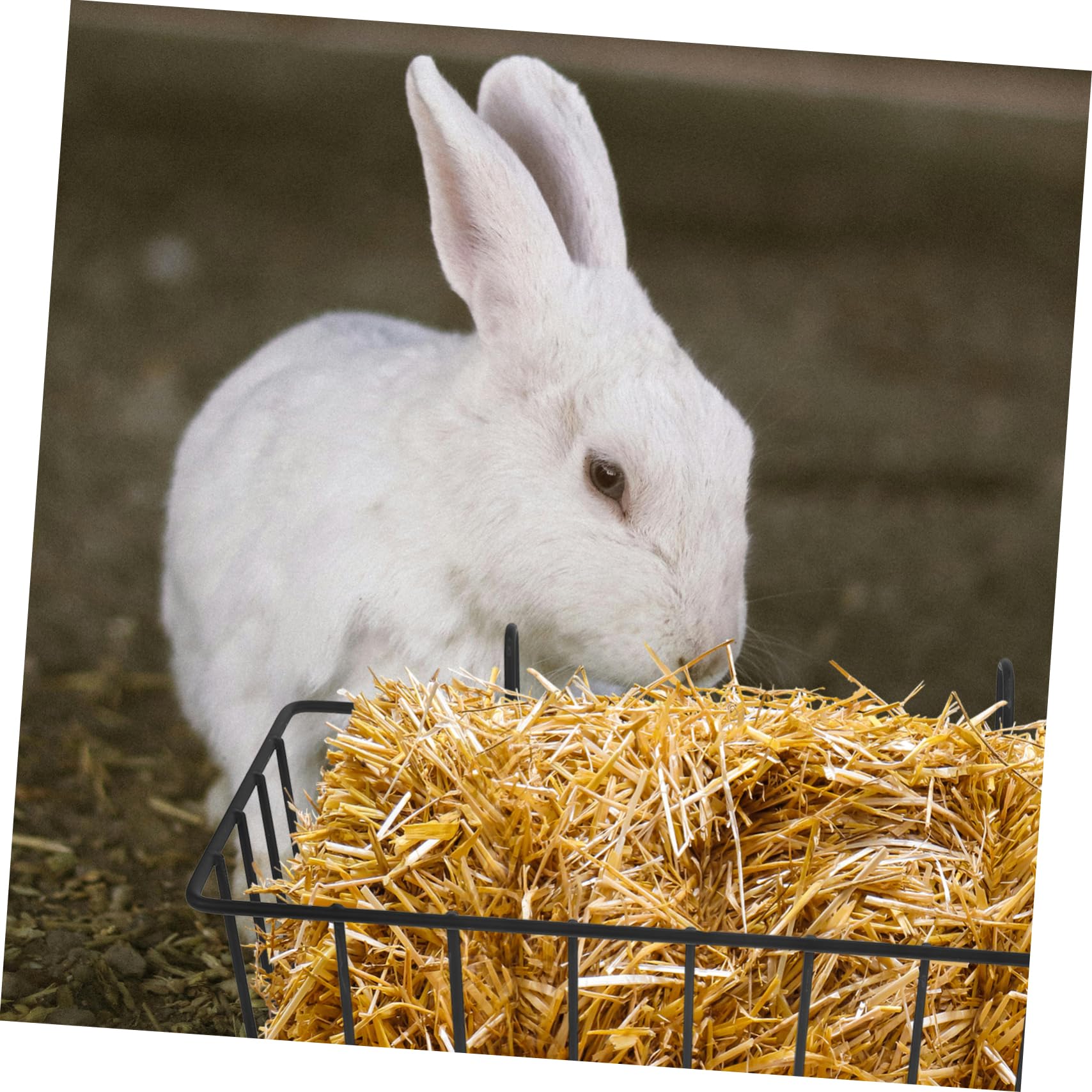 Râtelier à Foin pour Lapin, Lot de 2, Fer Noir, pour Cage | Hamster Compatible, Format Compact, Rangement Facile, Accessoire D’alimentation pour Petits Animaux