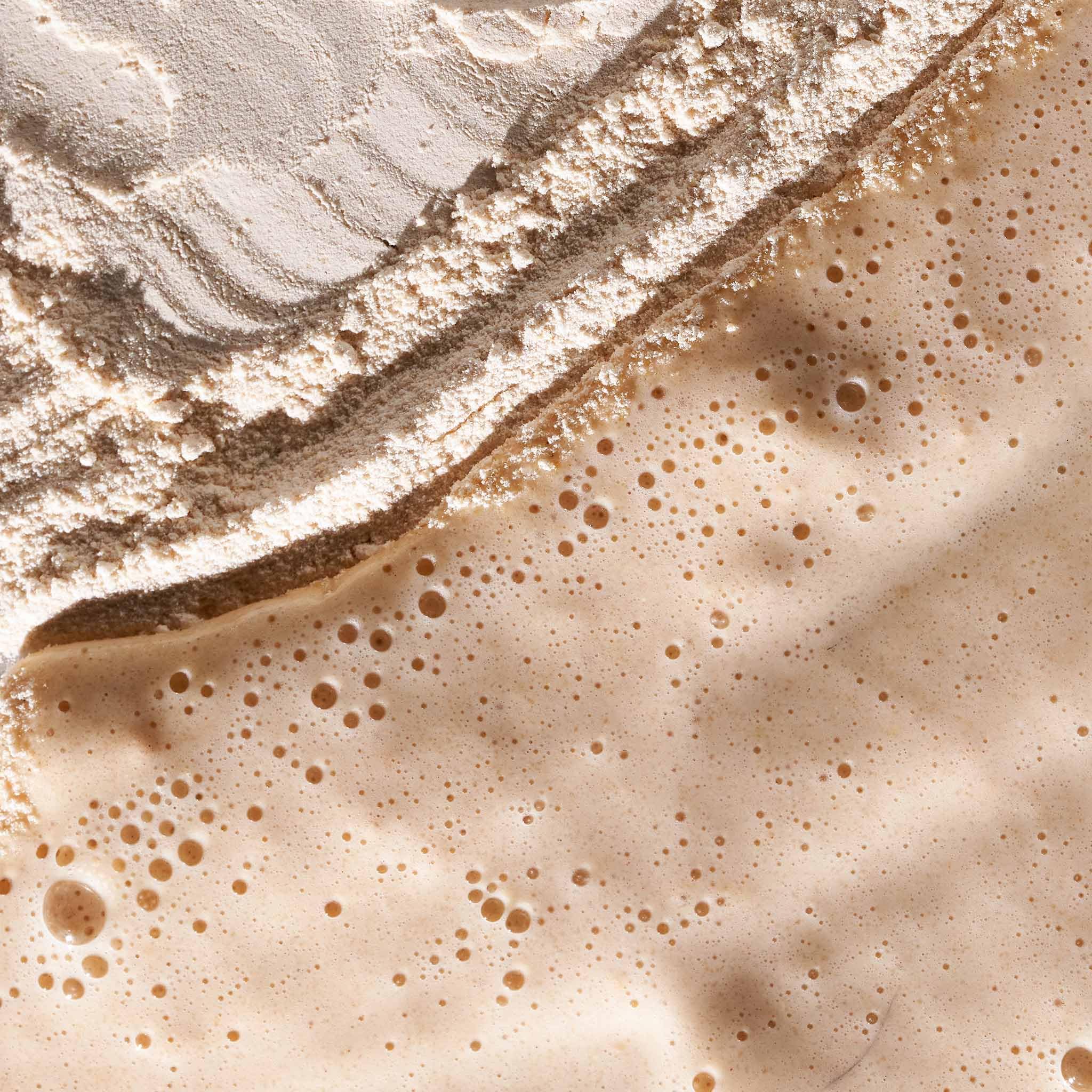 Dermalogica Daily Milkfoliant Exfoliator - Vegan Exfoliating Powder with Coconut Milk for Smoother, Softer Skin, Combats Skin Sensitivity, Redness and Uneven Texture, All Skin Types