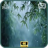 穏やかな雨音と遠くの雷鳴の睡眠補助テレビアプリ