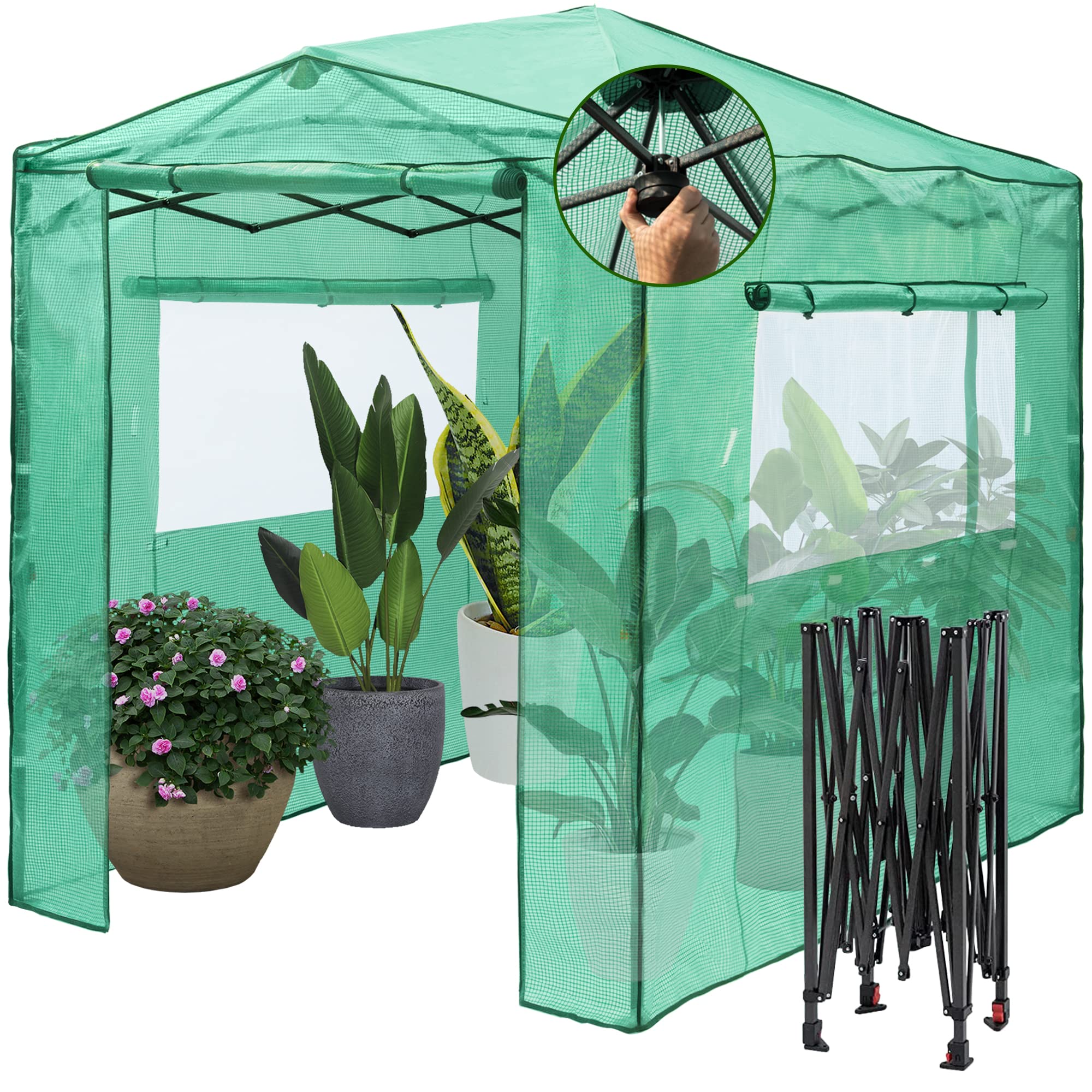 LAUREL CANYON8' x 6' Pop Up Greenhouse with 2 Windows, Roll Up Door and Quick Set Up Frame