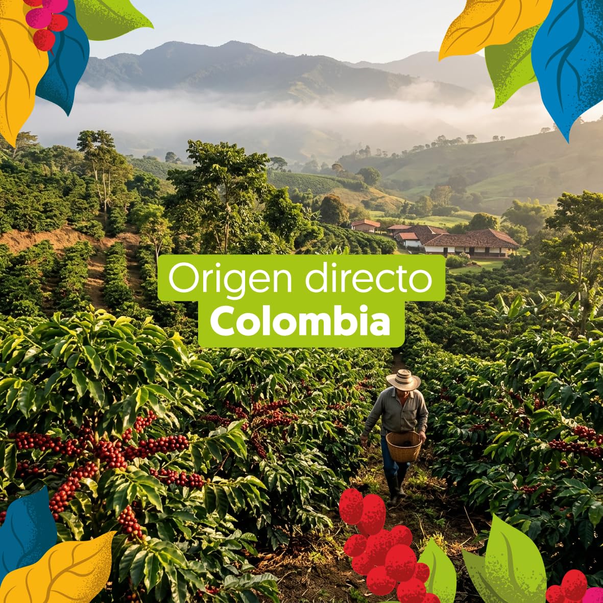 EBOCA Café en Grano Ecológico 1kg (2x500g) – 100% Arábica de Especialidad, Origen Colombia, Comercio Justo (Fairtrade), Tostado Artesanal en Huesca, Tueste Medio para Espresso y Filtro