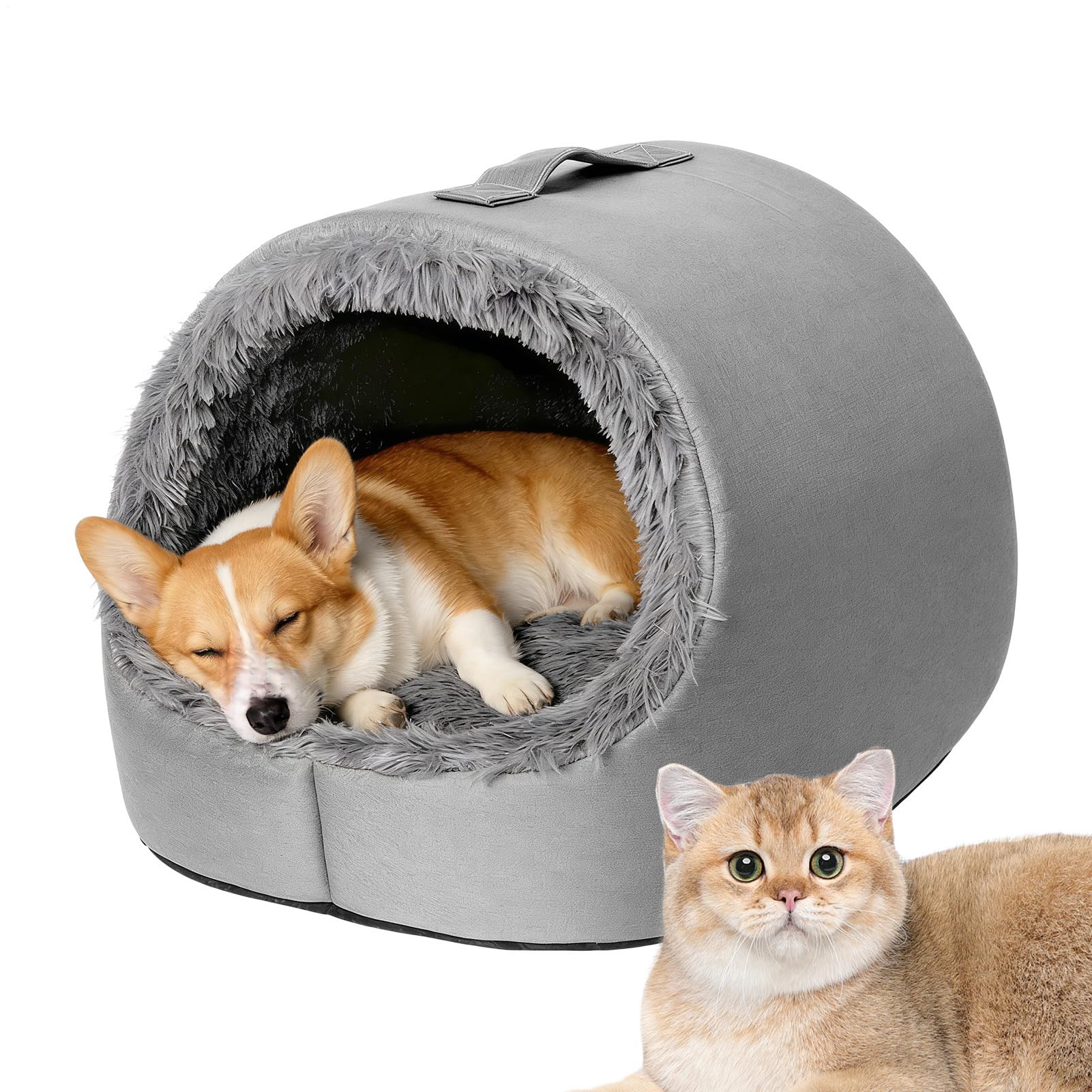 Tente pour animal domestique et chiot idéale pour le salon ou le balcon