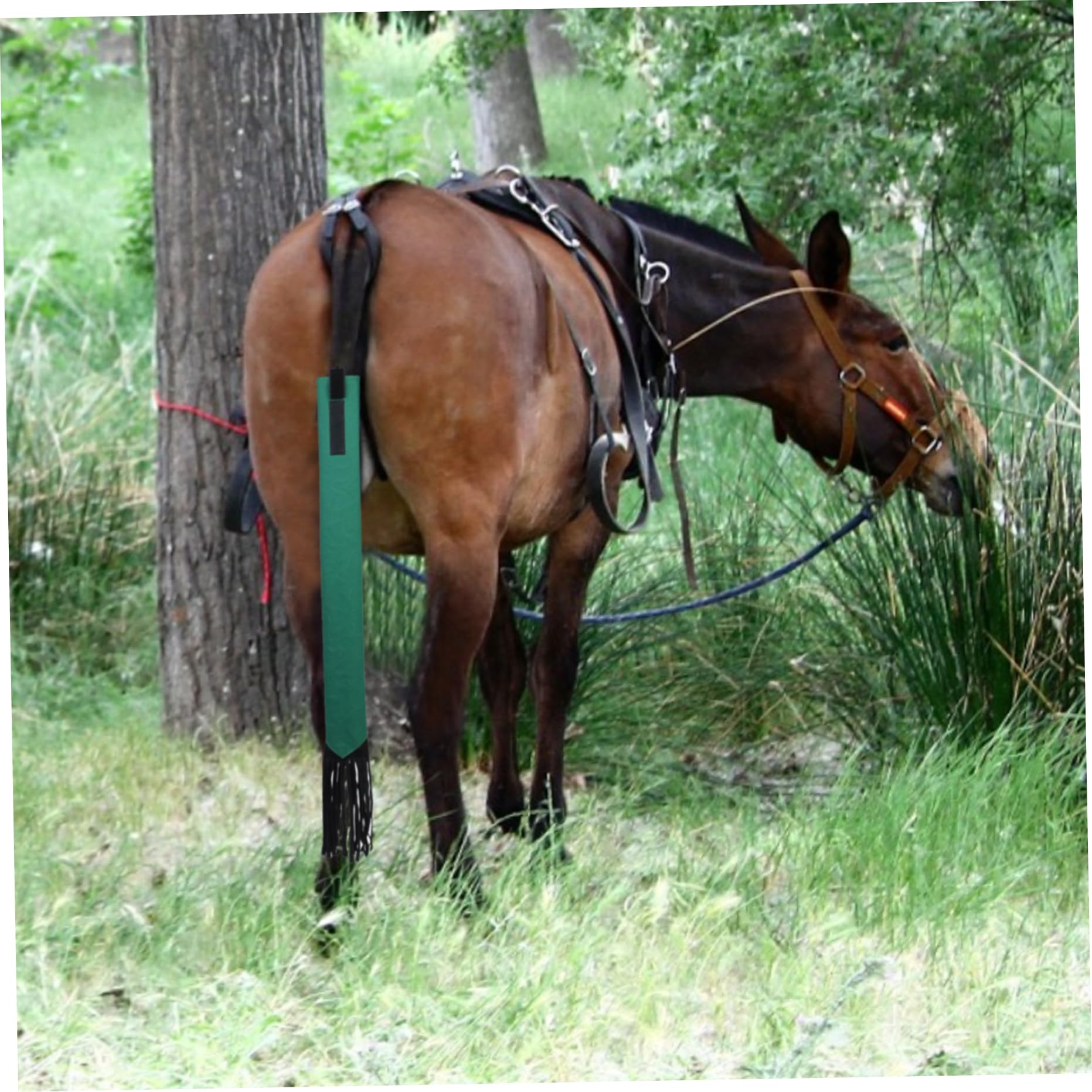 Sac à dos avec motf cheval avec nom personnalsable - nor | Sac, Sac Sac à dos avec motf cheval avec nom personnalsable - nor | Sac, Sac