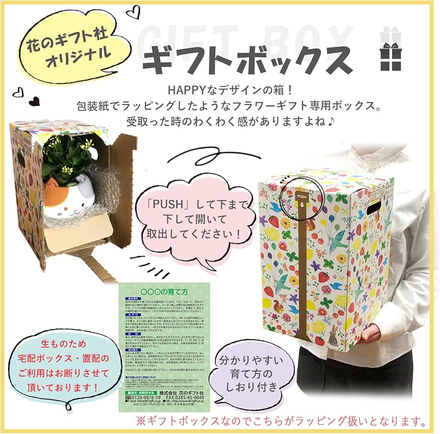 Amazon|花のギフト社 ミッフィー ポトス 誕生日 観葉植物 鉢植え Amazon|花のギフト社 ミッフィー ポトス 誕生日 観葉植物 鉢植え