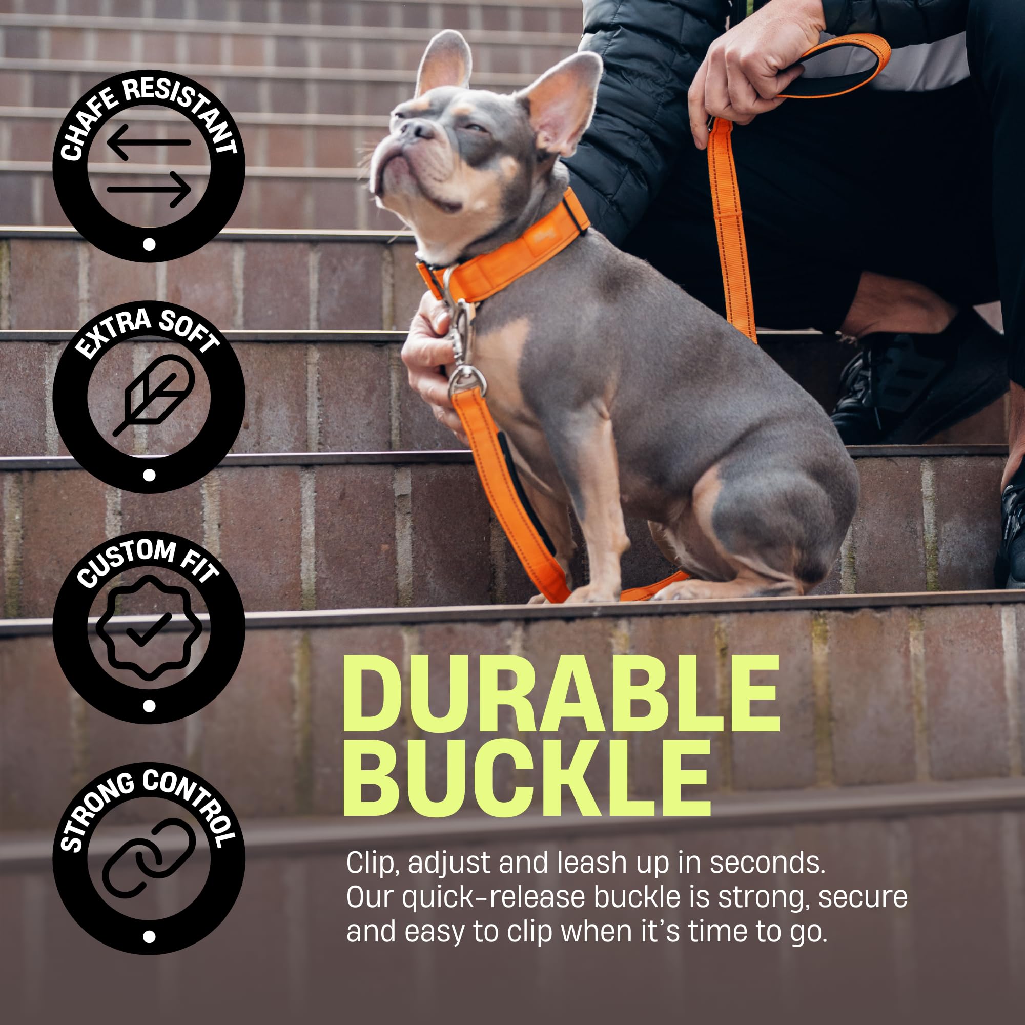 DF Co. Collar táctico para perro, cómodo y seguro, con hebilla de clip de liberación rápida y anillo en D resistente, neopreno acolchado suave, resistente a rozaduras, visibilidad nocturna, camuflaje