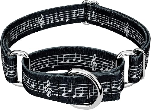 Country Brook Petz - Collar de perro Martingale partituras - Colección Geek Chic con 5 diseños para cualquier Mega fan (58 pulgadas, S) Country Brook Petz - Collar de perro Martingale partituras - Colección Geek Chic con 5 diseños para cualquier Mega fan (58 pulgadas, S)