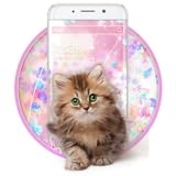 adroit corporate services