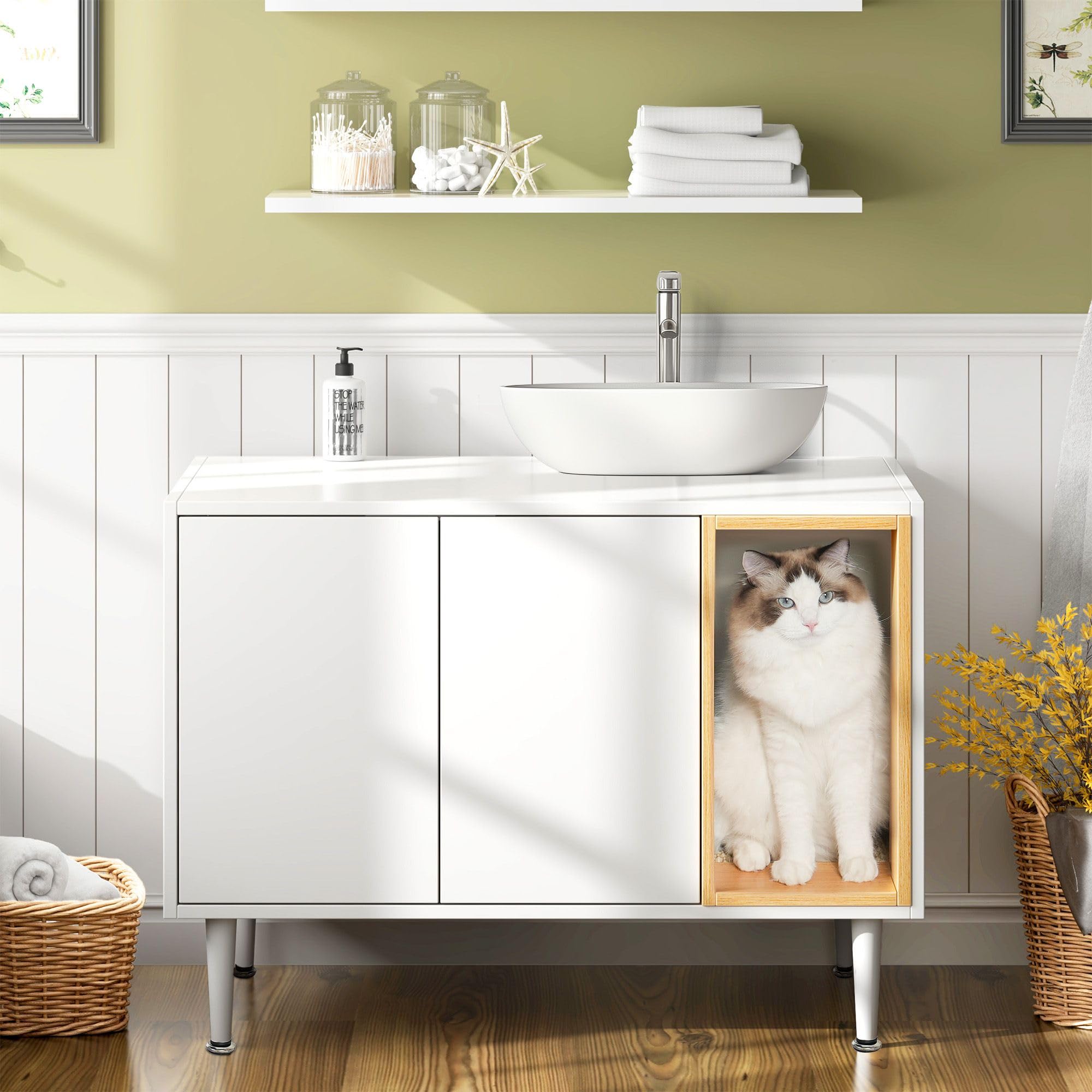 Indoor Cat Bathroom Bathroom Light Switch Is Outside The Door, Human