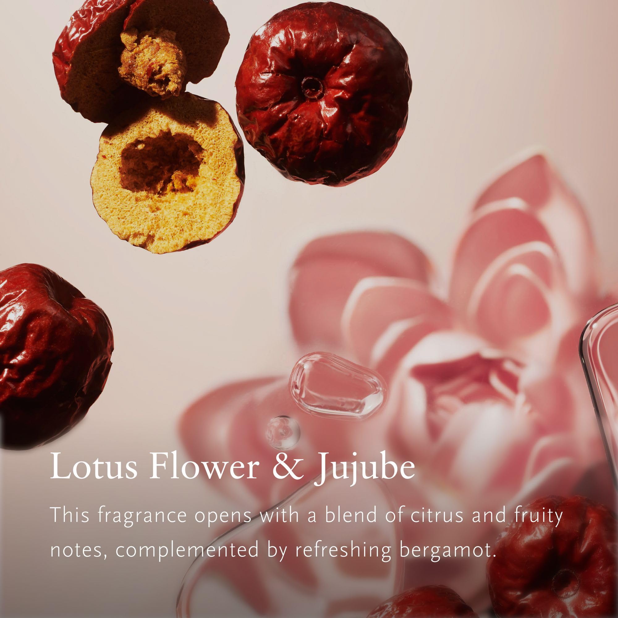 RITUALS The Ritual of Jing Diffuseur de parfum Fleur de lotus 250 ml | Parfum d'intérieur longue durée, bâtons de parfum, diffuseur de luxe, parfum continu