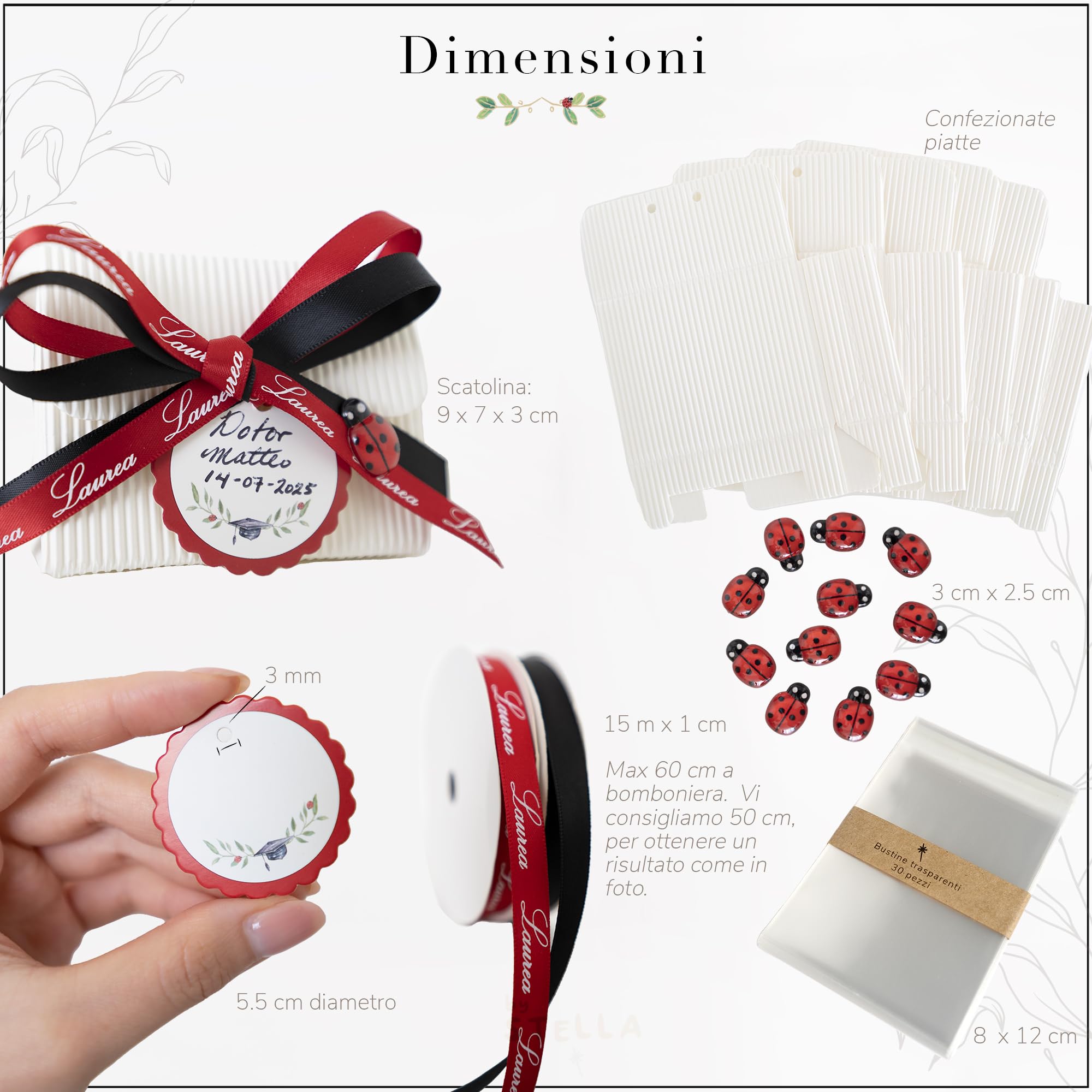 Set Completo Bomboniere Laurea, Scatoline Portaconfetti con Coccinelle, Bigliettini, Doppi Nastri e Sacchettini, 25 Pezzi