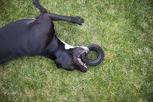 Miniatura 5 de Mammoth TireBiterII  Juguetes de goma natural para perros masticadores extremos  Juguetes para perros para jugar interactivo extra largo  Juguetes