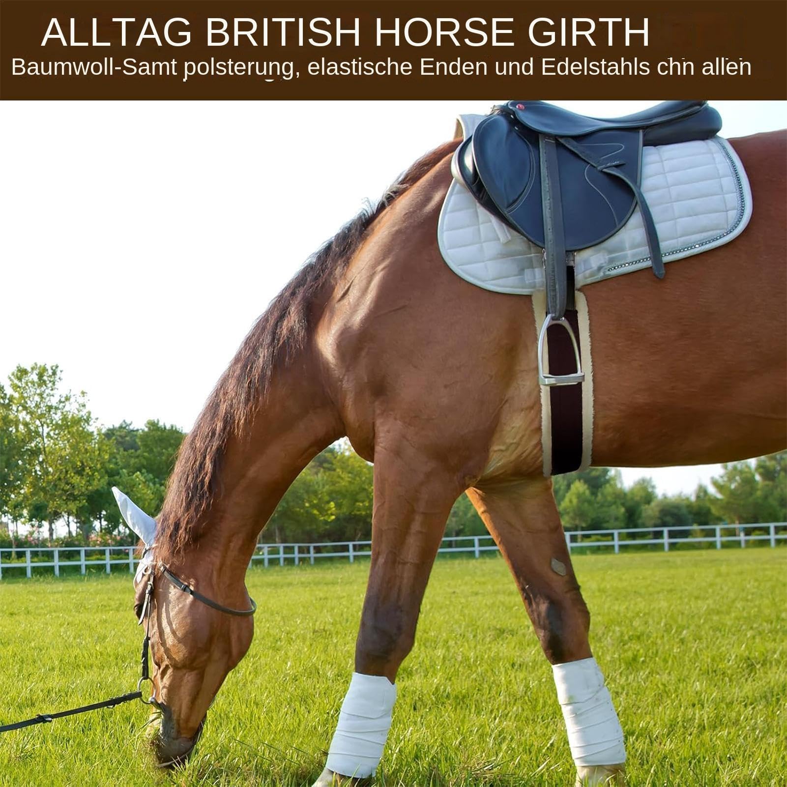 per Sella Western, Cintura Western per | Elastica Inglese in Acciaio Inossidabile, per Sella Western per Allenamento