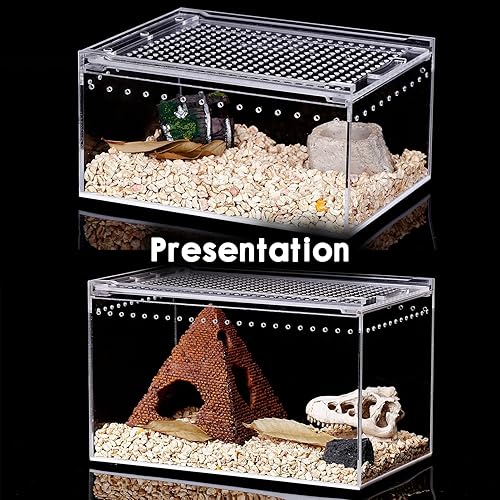 Miniatura 5 de Terrario de reptiles - Kit de inicio de tanque de anfibios, caja de alimentación de bosque lluvioso ecológico, caja de alimentación de anfibios,