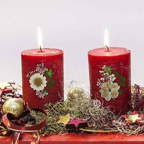 Miniatura 6 de Nuanchu 81 piezas de flores secas blancas, flores prensadas secas, hojas de flores prensadas naturales, flores blancas prensadas de alondrón,