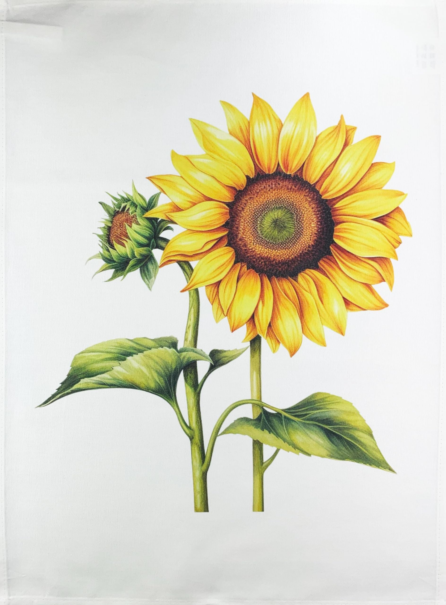 Half A Donkey White Sunflower Heads Large Cotton Tea Towel