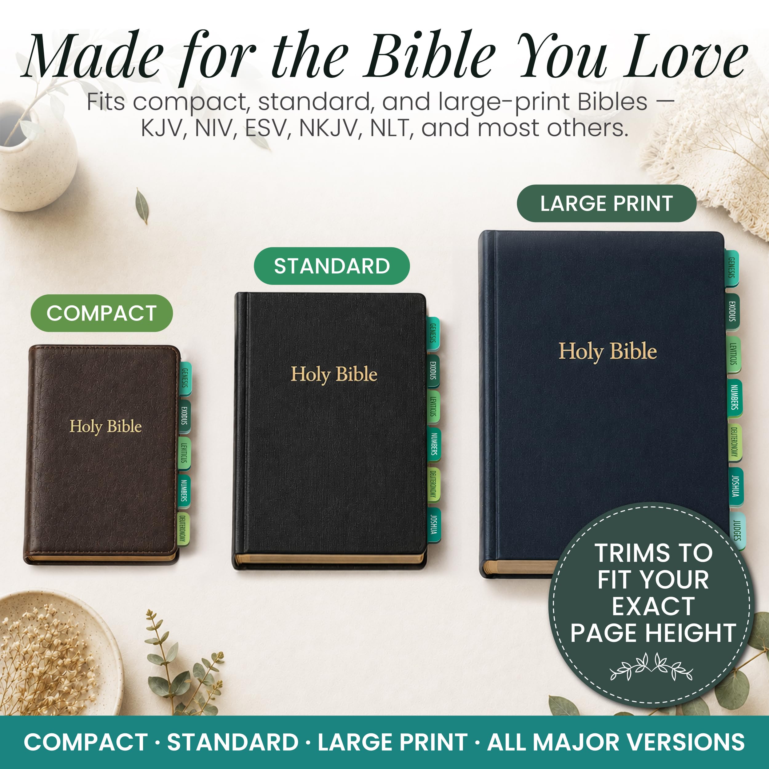 Amazon.com : Only Zest 90 Christian Bible Tabs for Men and Kids