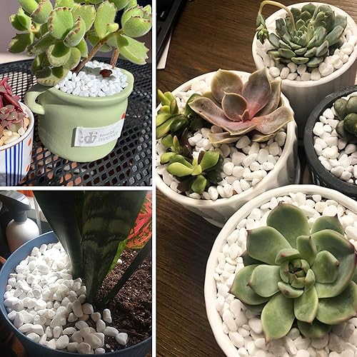 Miniatura 2 de Guijarros blancos para plantas, jarrones de jardín, 1.8 libras, rocas blancas, grava piedra decorativa de 12 "